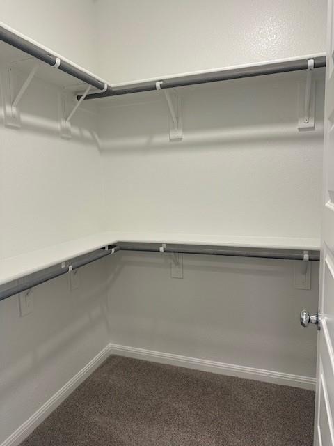 147 Tolo Dr, Elgin, TX 78621