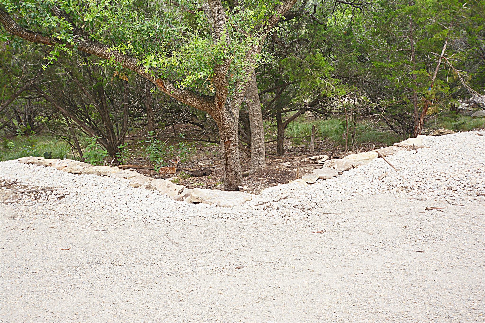 197 Bogi St, Canyon Lake, TX 78133