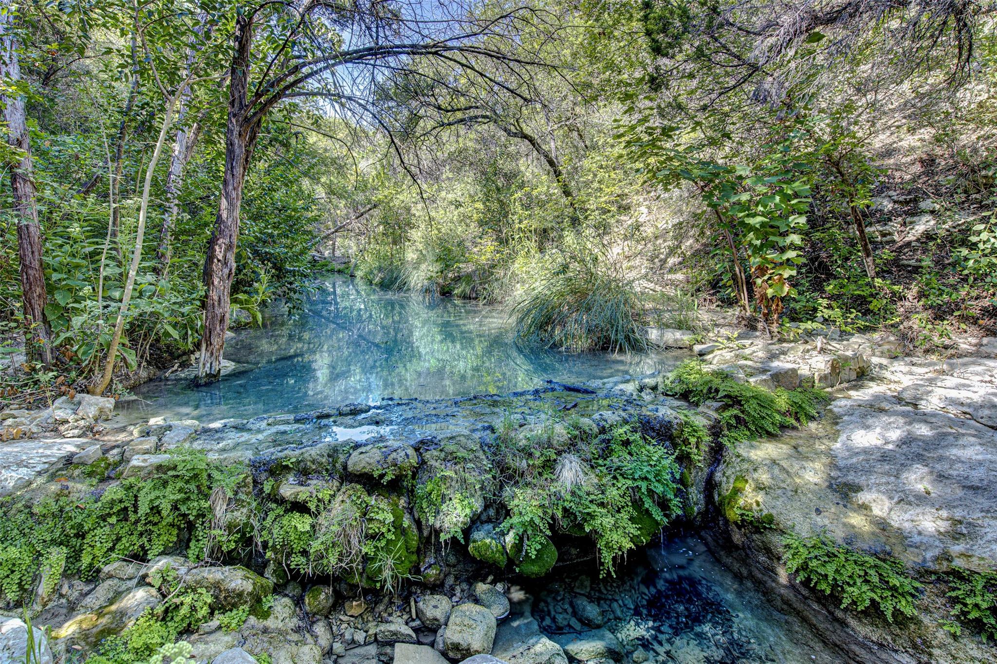 15101 DEXLER Dr, Austin, TX 78734