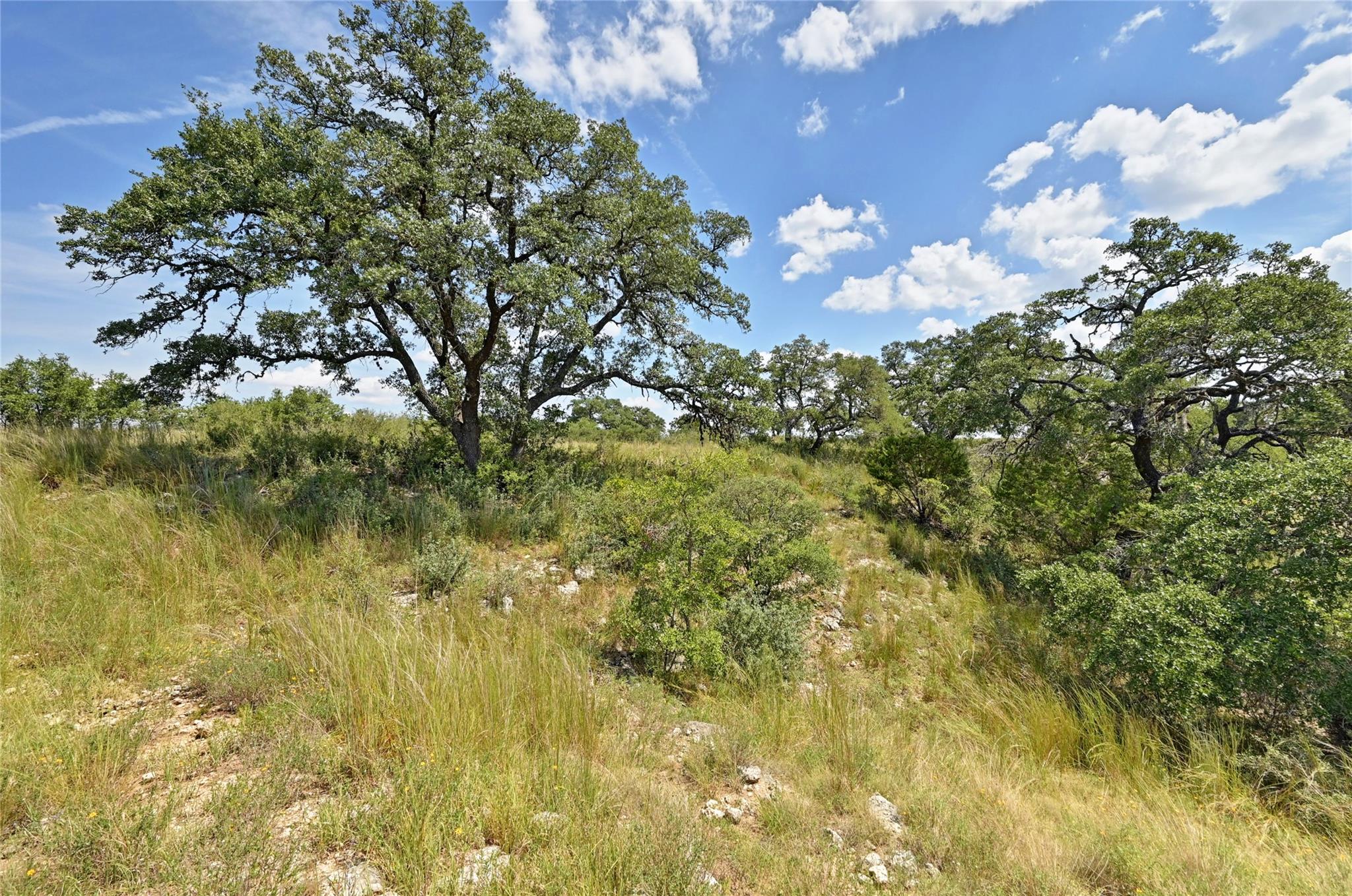 LOT 75 Summit Ledge Dr, Johnson City, TX 78636