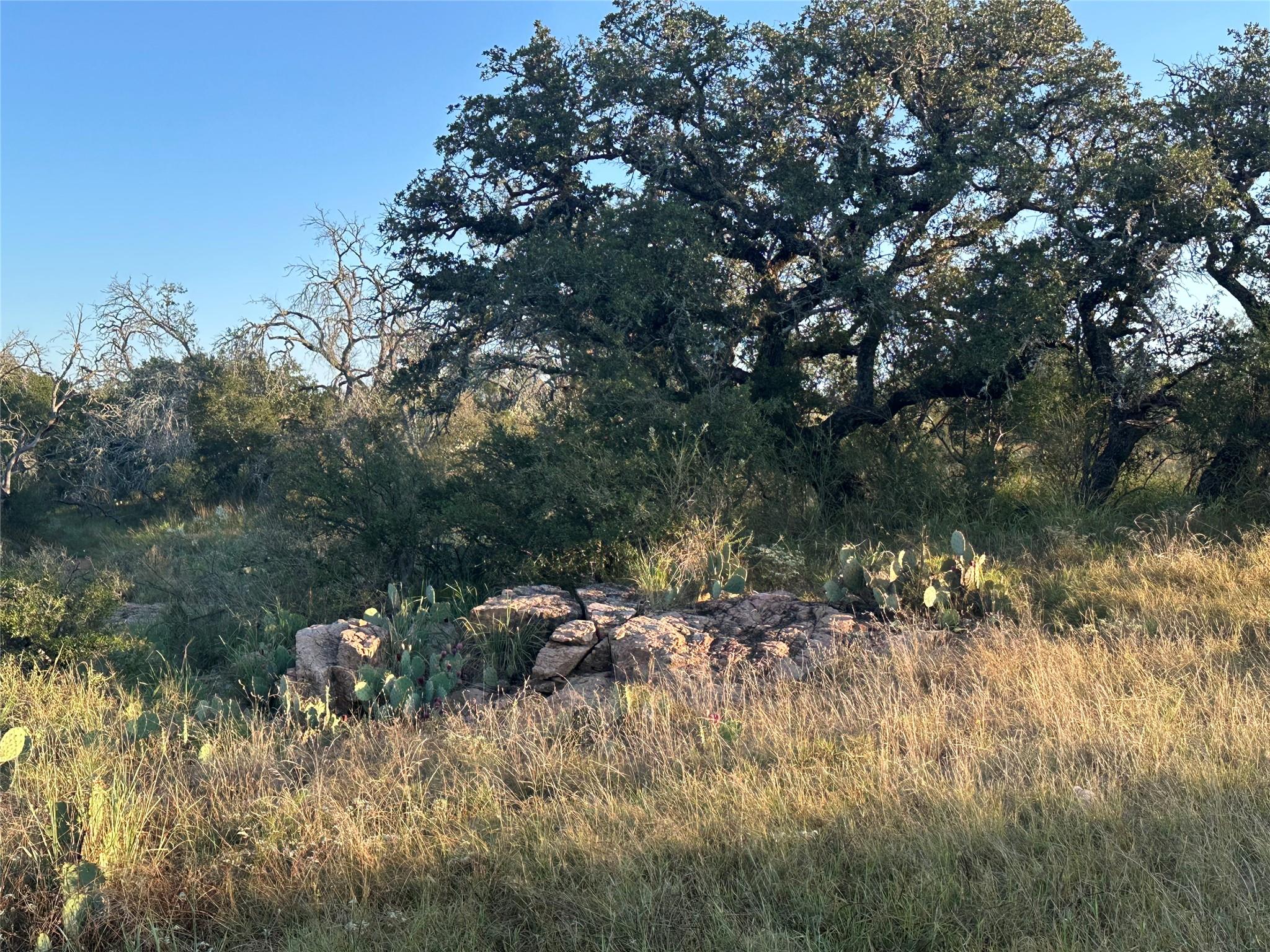 2976 Lower Willow Creek Rd, Mason, TX 76820