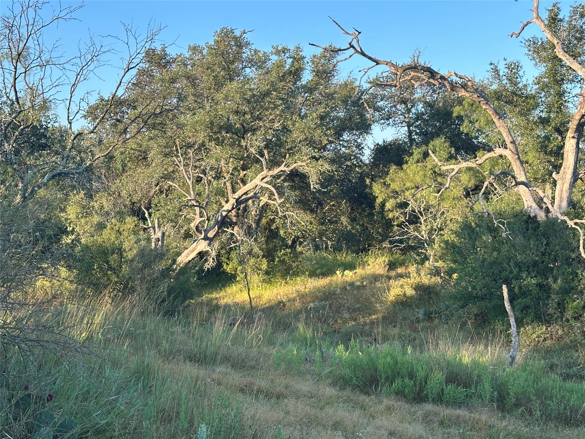 2976 Lower Willow Creek Rd, Mason, TX 76820