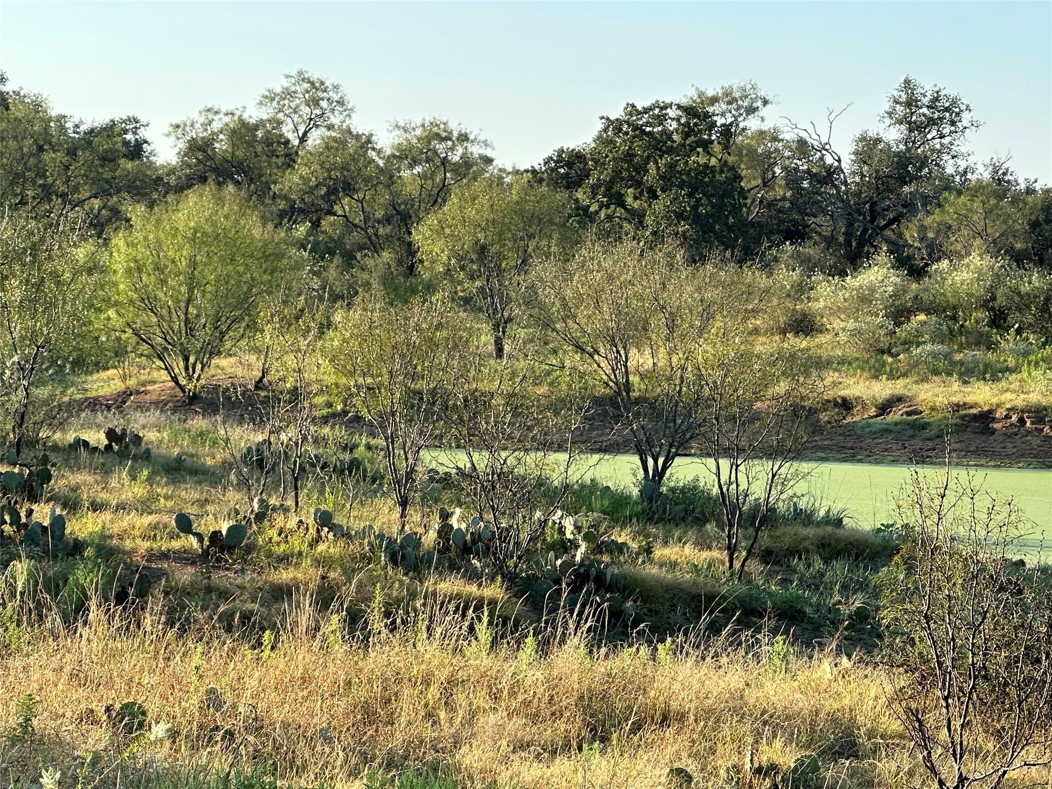 2976 Lower Willow Creek Rd, Mason, TX 76820