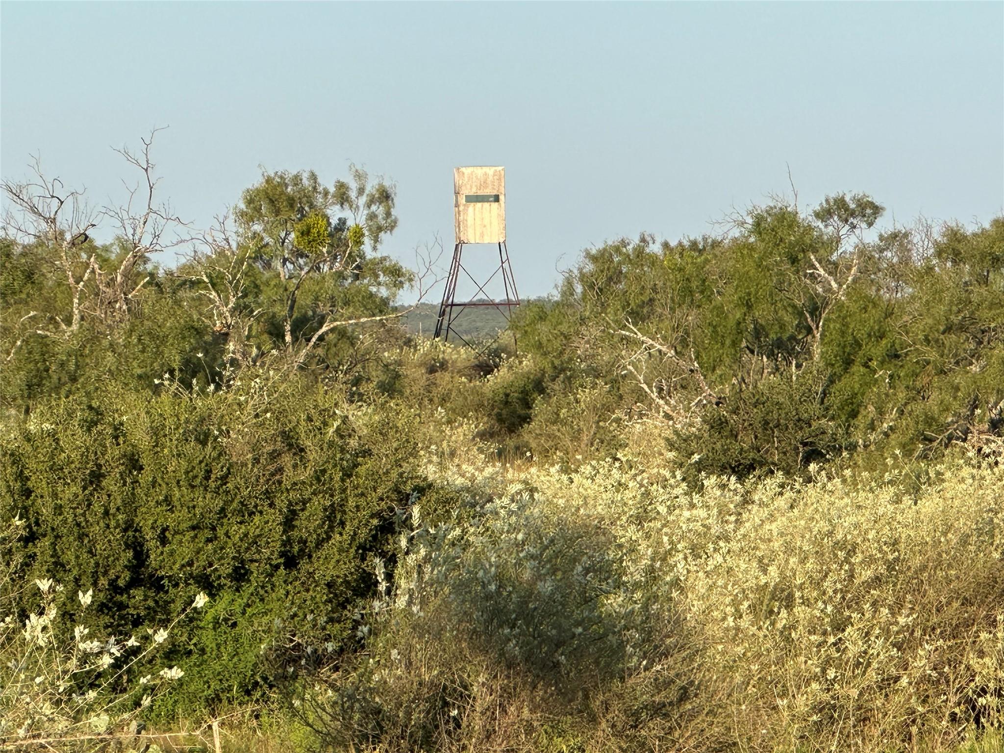 2976 Lower Willow Creek Rd, Mason, TX 76820