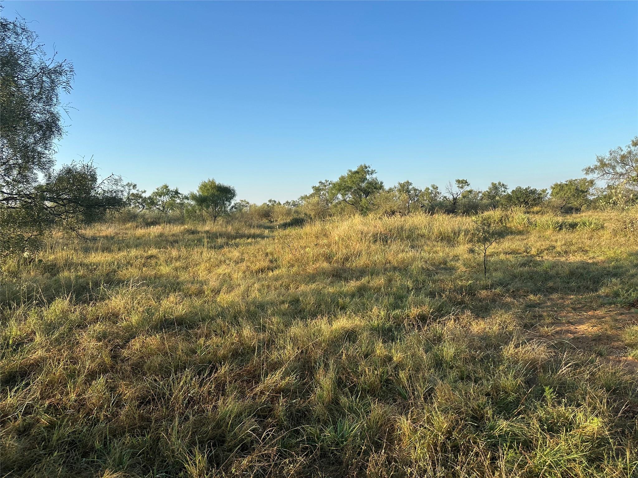 2976 Lower Willow Creek Rd, Mason, TX 76820