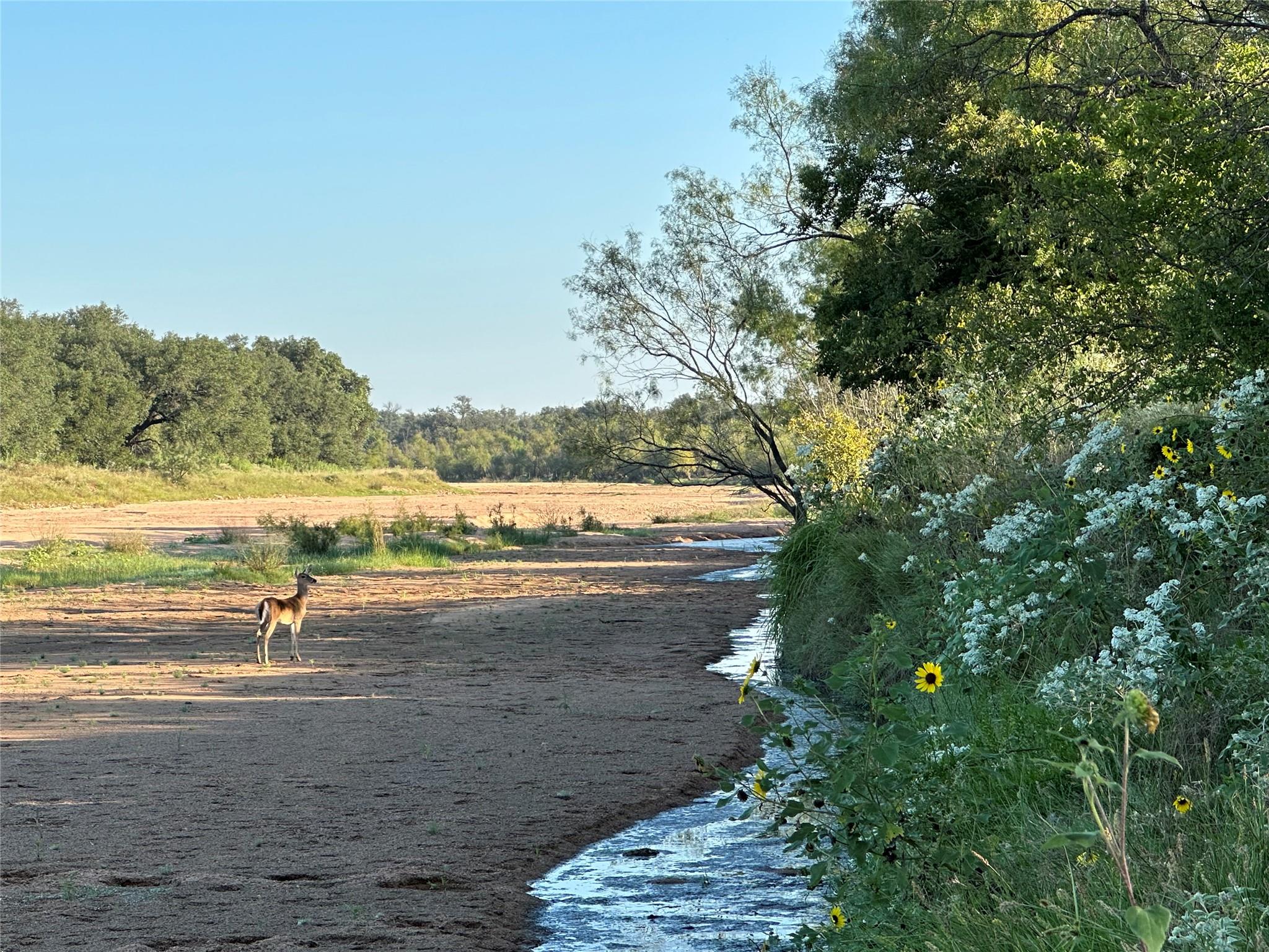 2976 Lower Willow Creek Rd, Mason, TX 76820
