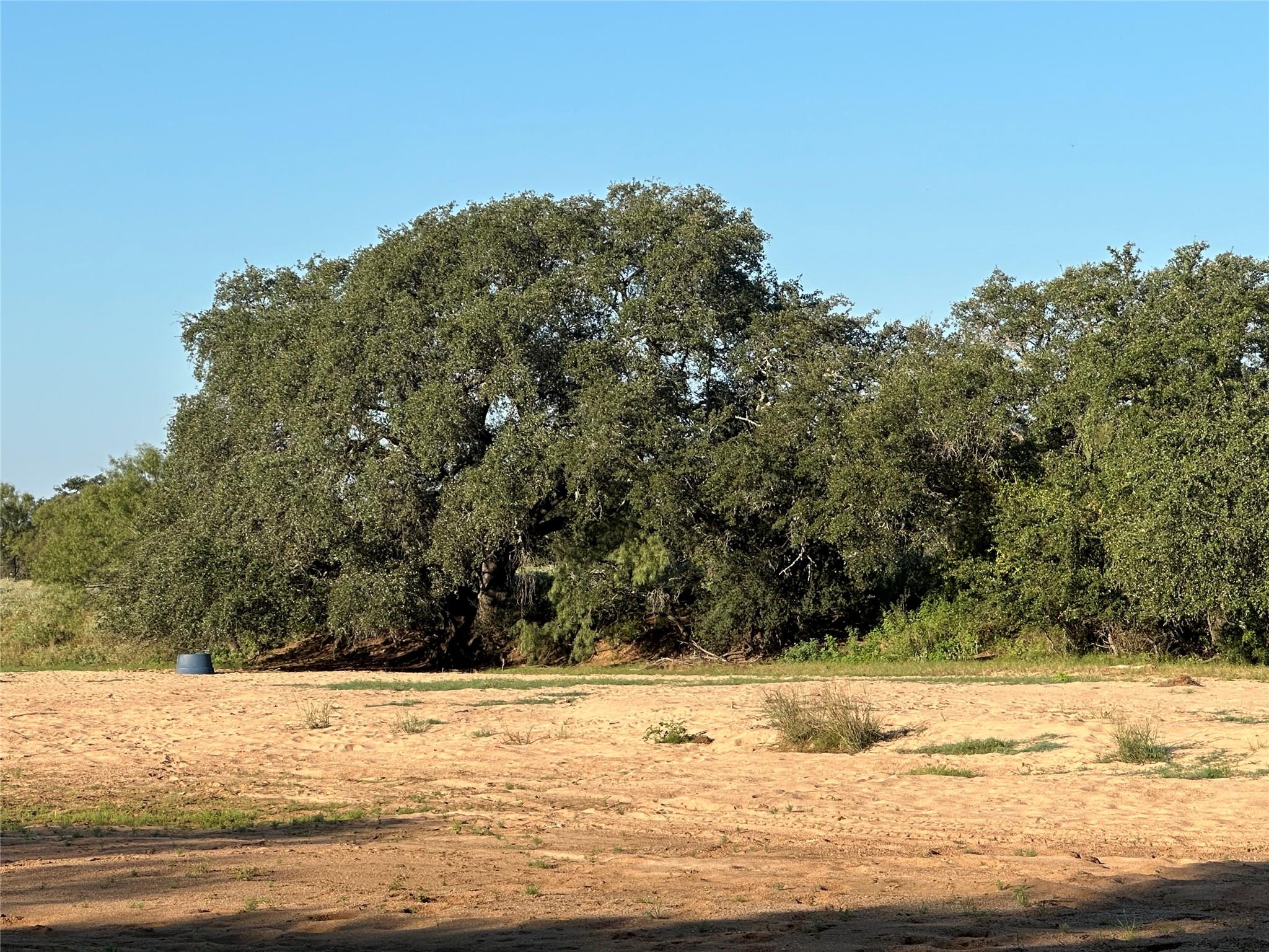 2976 Lower Willow Creek Rd, Mason, TX 76820