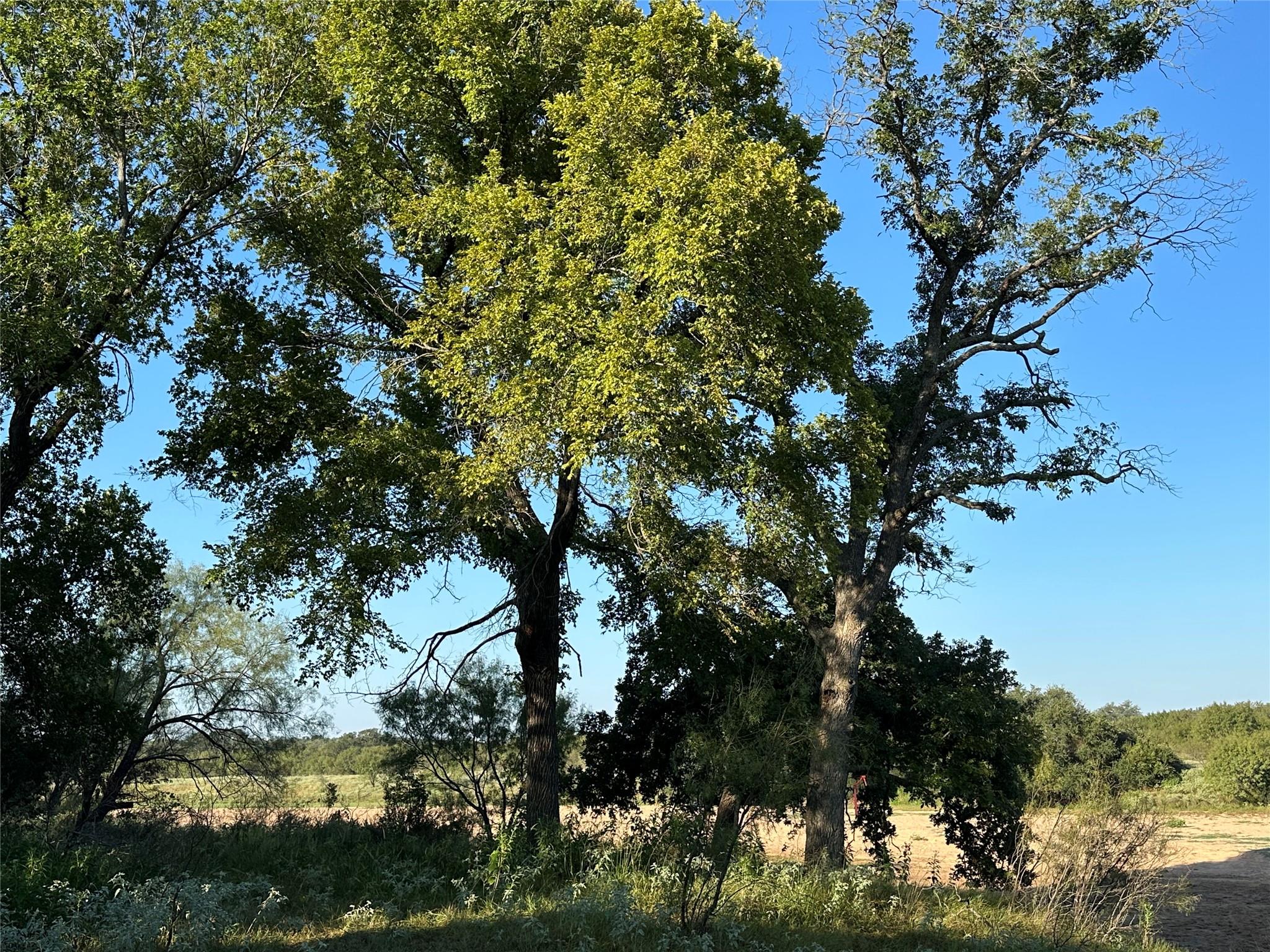 2976 Lower Willow Creek Rd, Mason, TX 76820