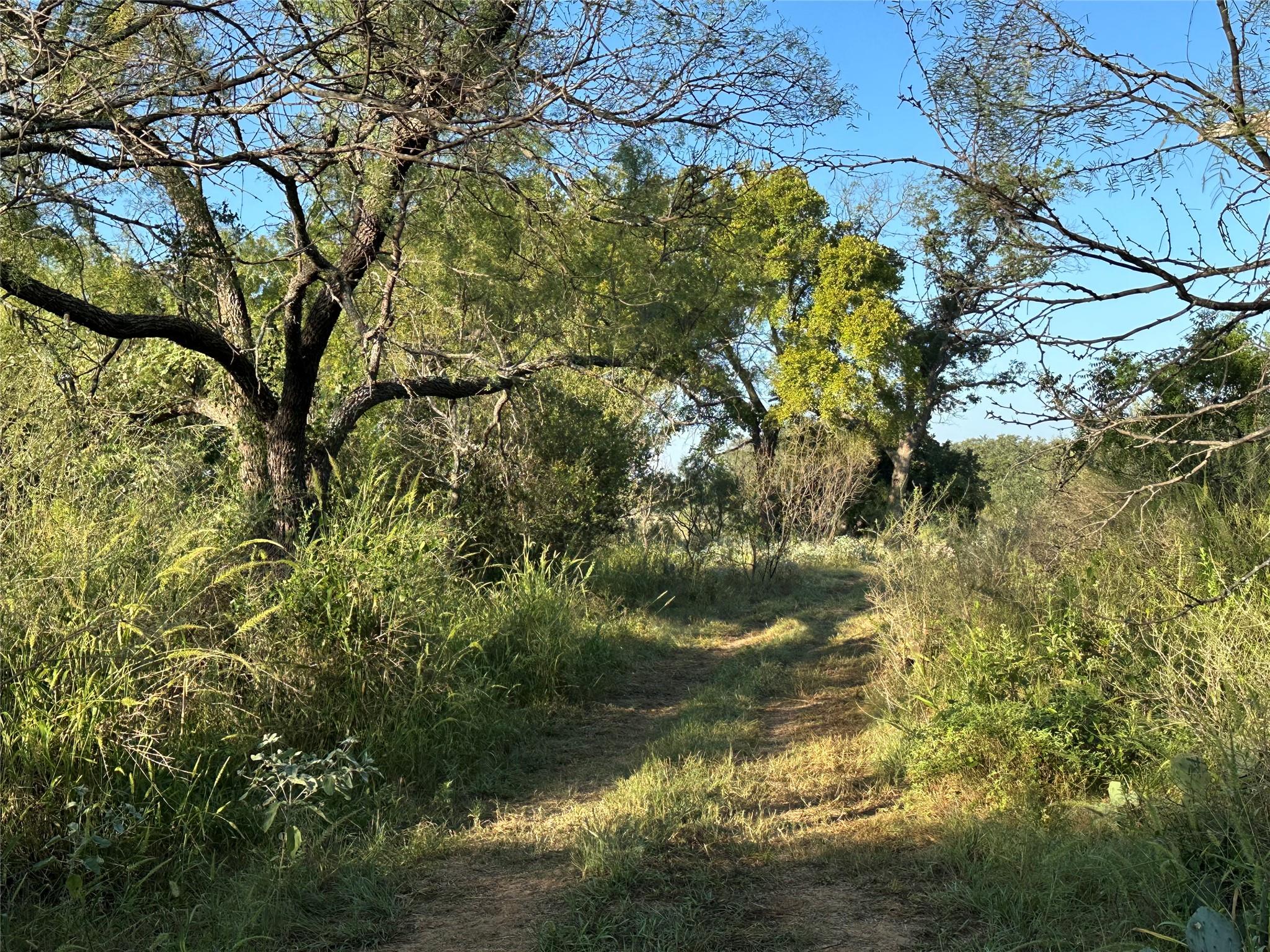 2976 Lower Willow Creek Rd, Mason, TX 76820