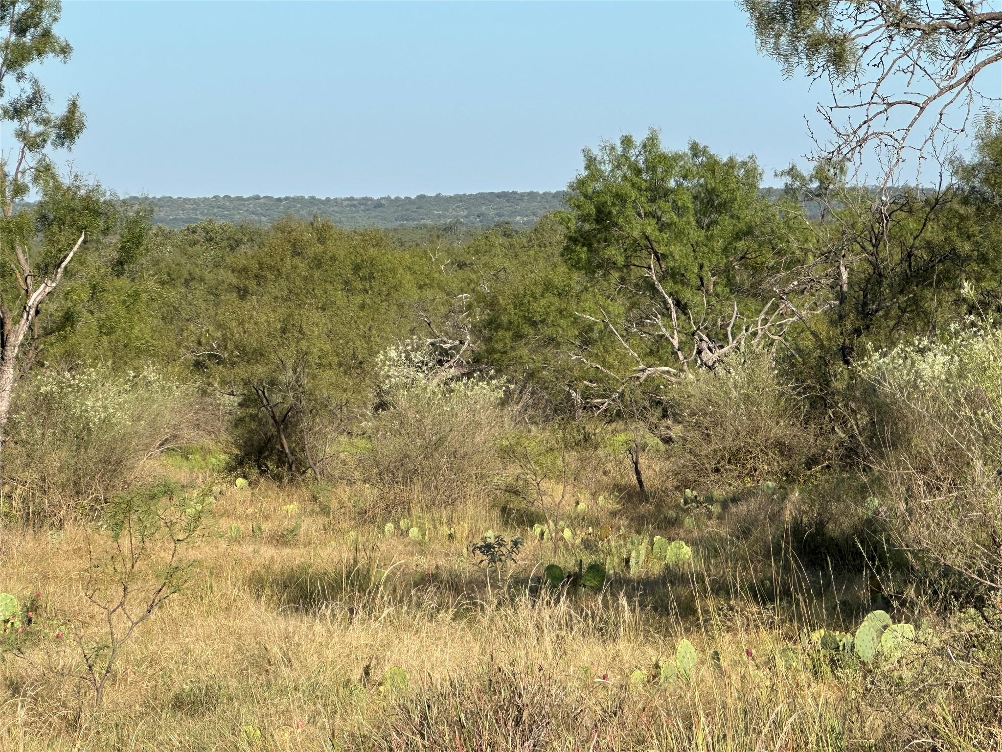 2976 Lower Willow Creek Rd, Mason, TX 76820