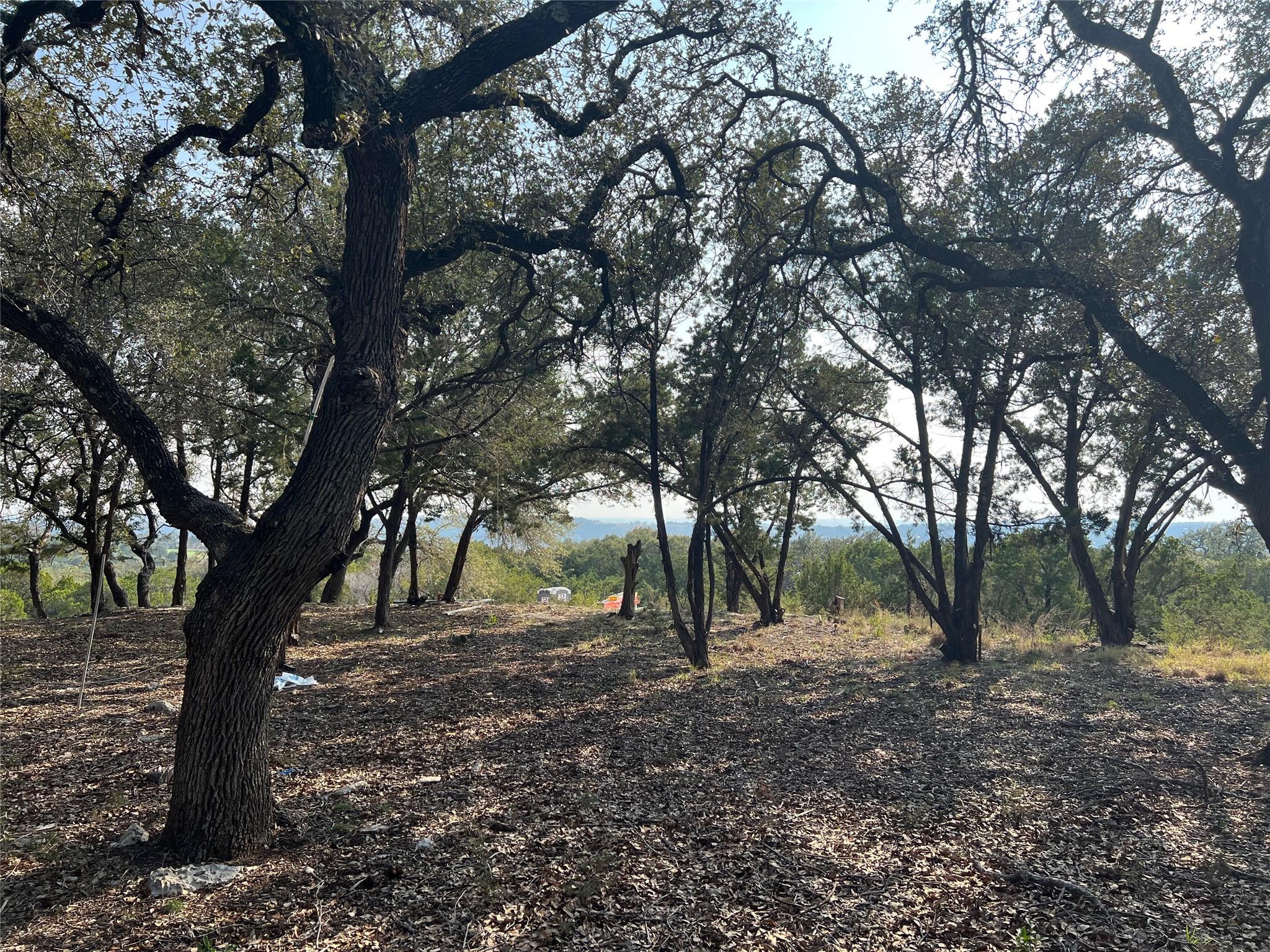 21002 Niagara Cv, Lago Vista, TX 78645