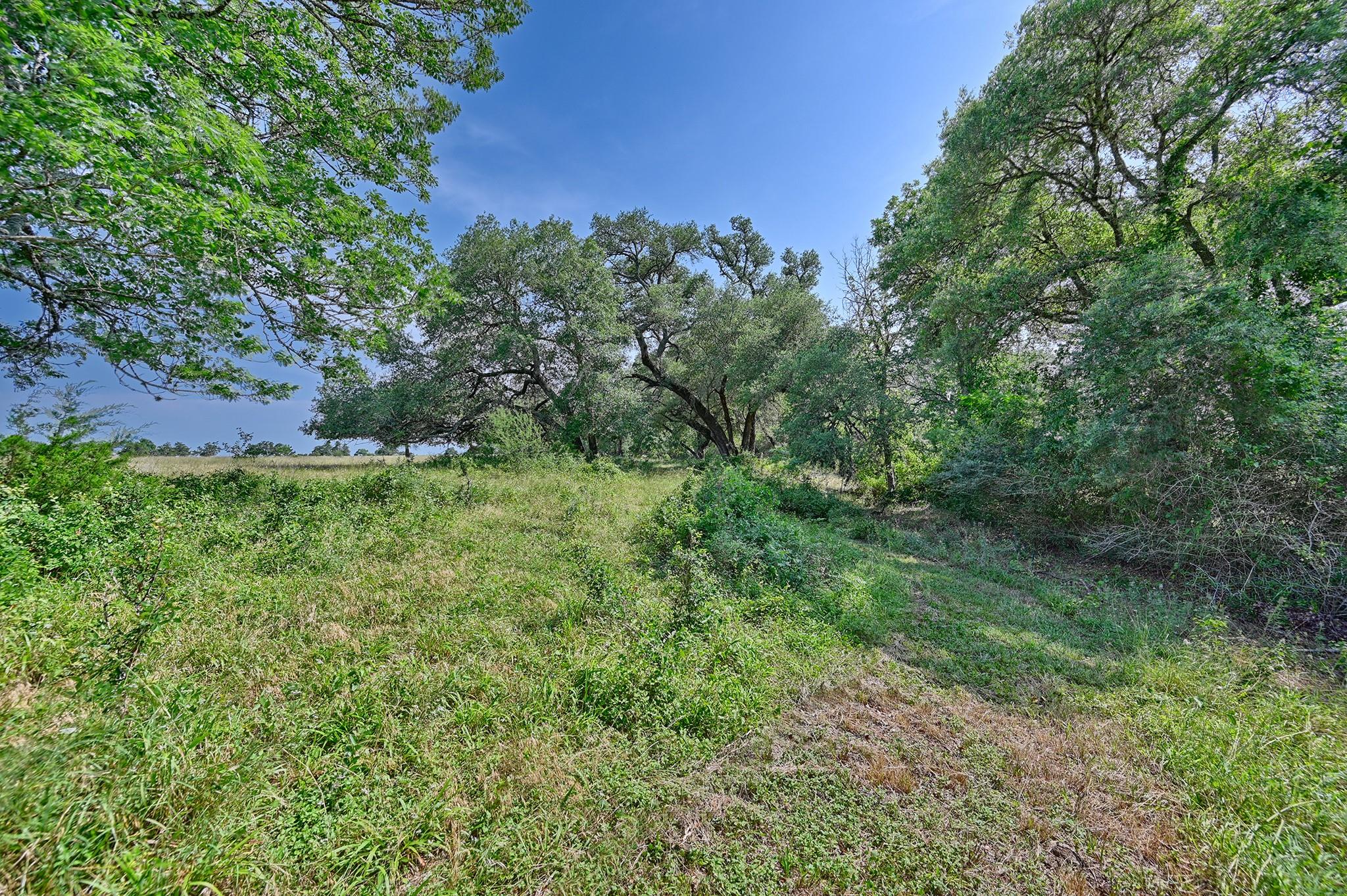 2120 Hohenwalde School Rd, Brenham, TX 77833