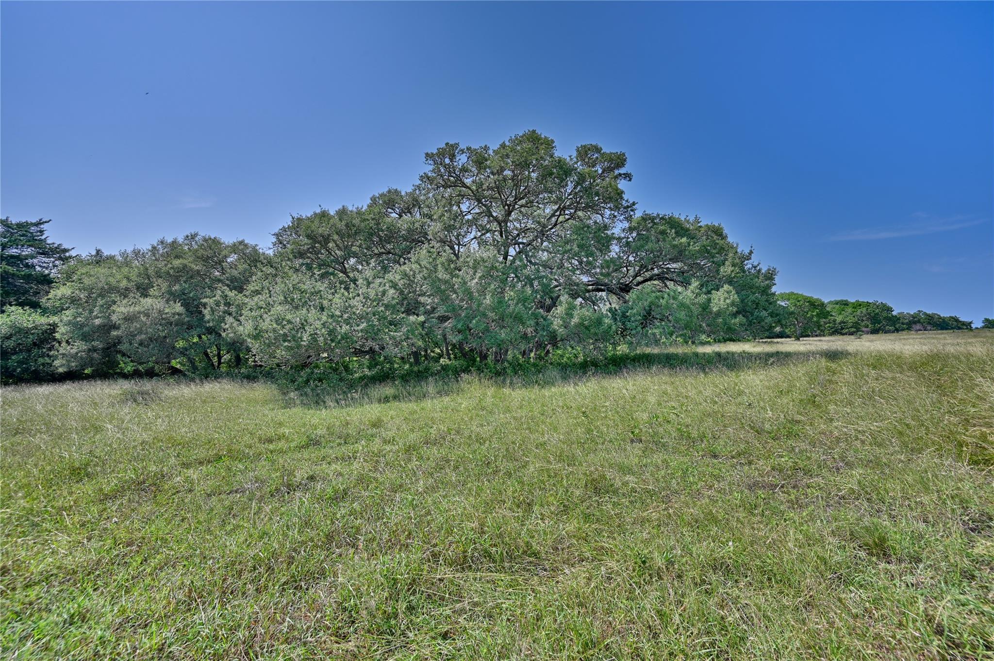 2120 Hohenwalde School Rd, Brenham, TX 77833