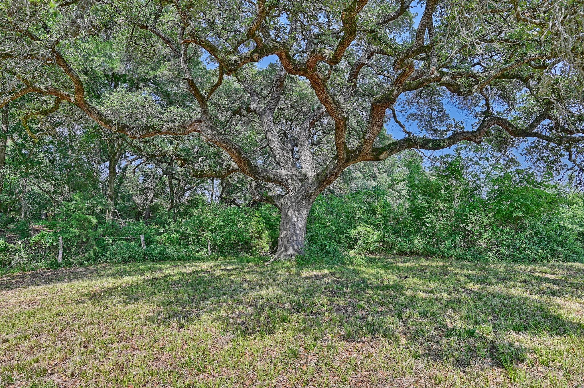 2120 Hohenwalde School Rd, Brenham, TX 77833