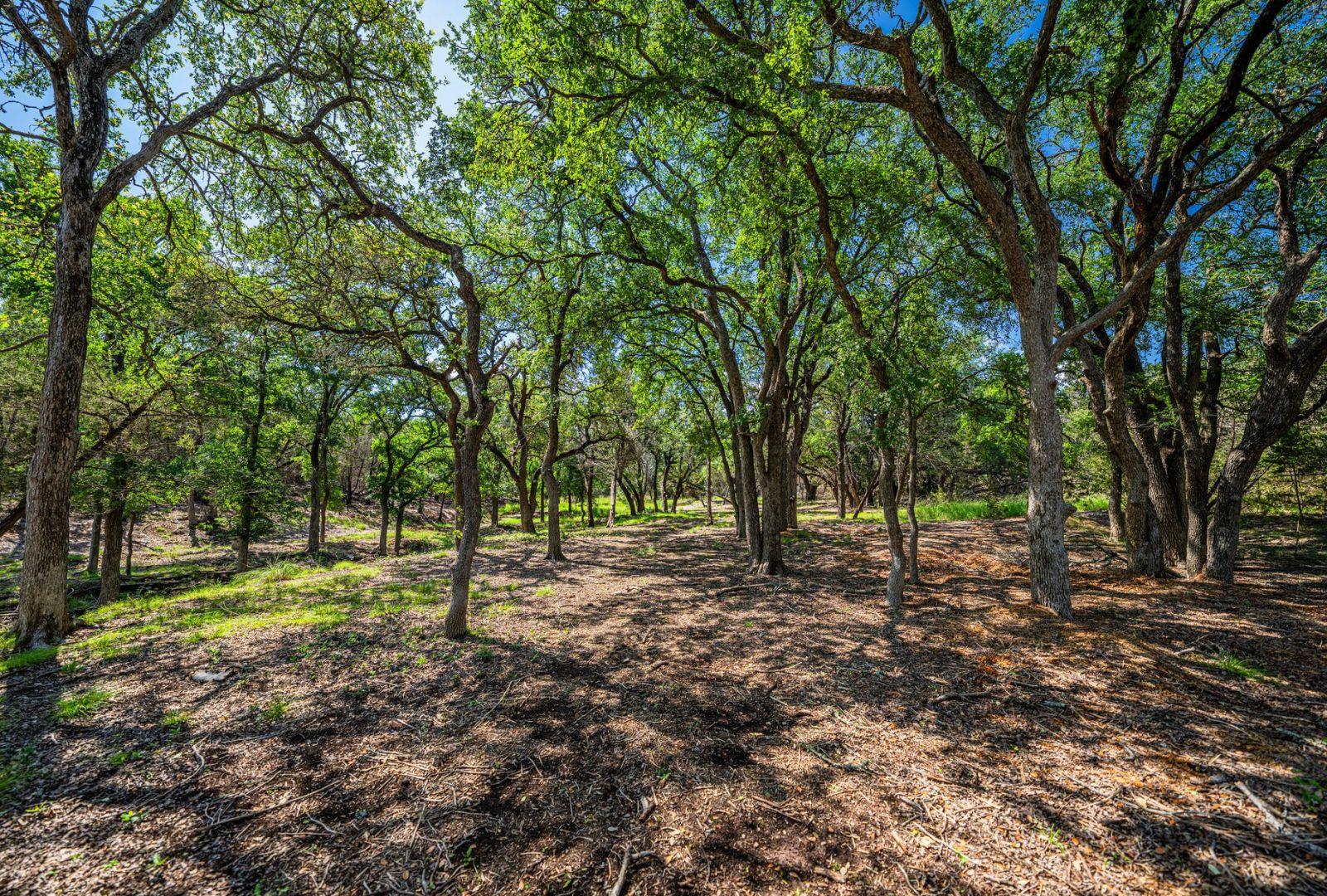 0000 Gibson-Best Rd, Hye, TX 78635