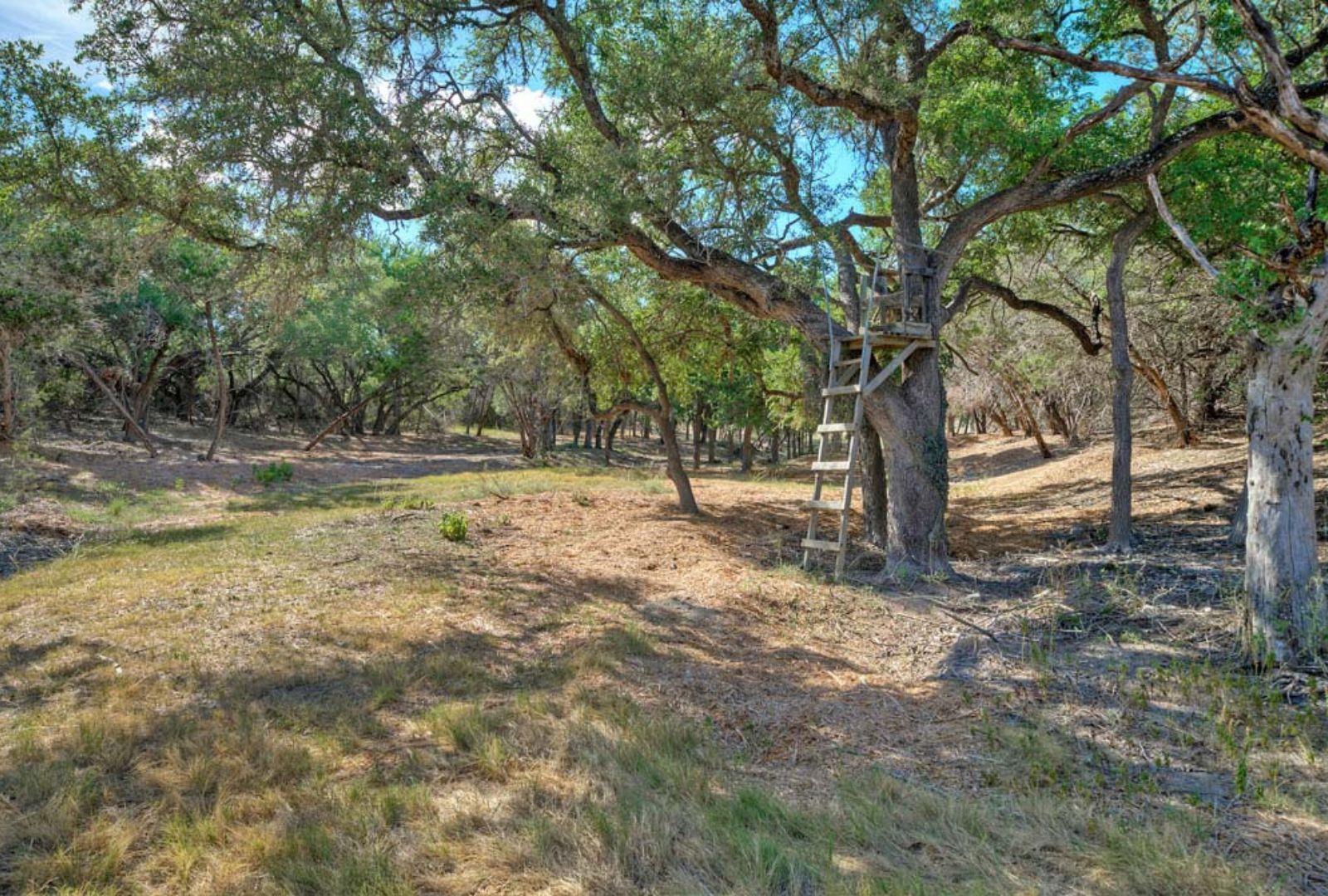 0000 Gibson-Best Rd, Hye, TX 78635