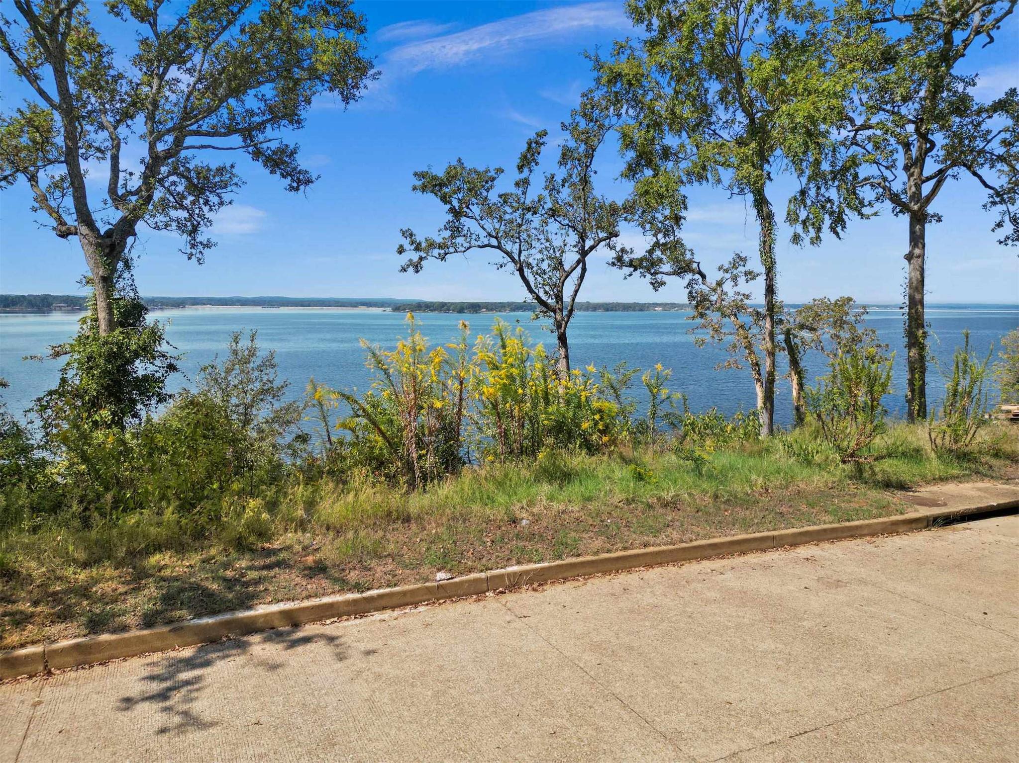 143 N Lake Bluff Dr, Bullard, TX 75757