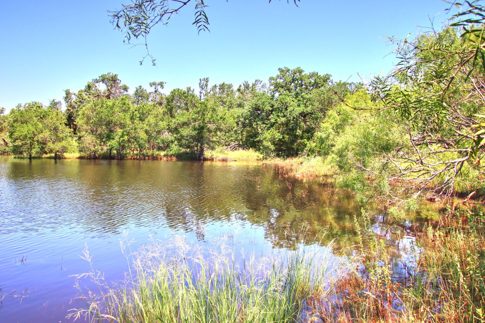 Lot 5 RM 1323, Willow City, TX 78675