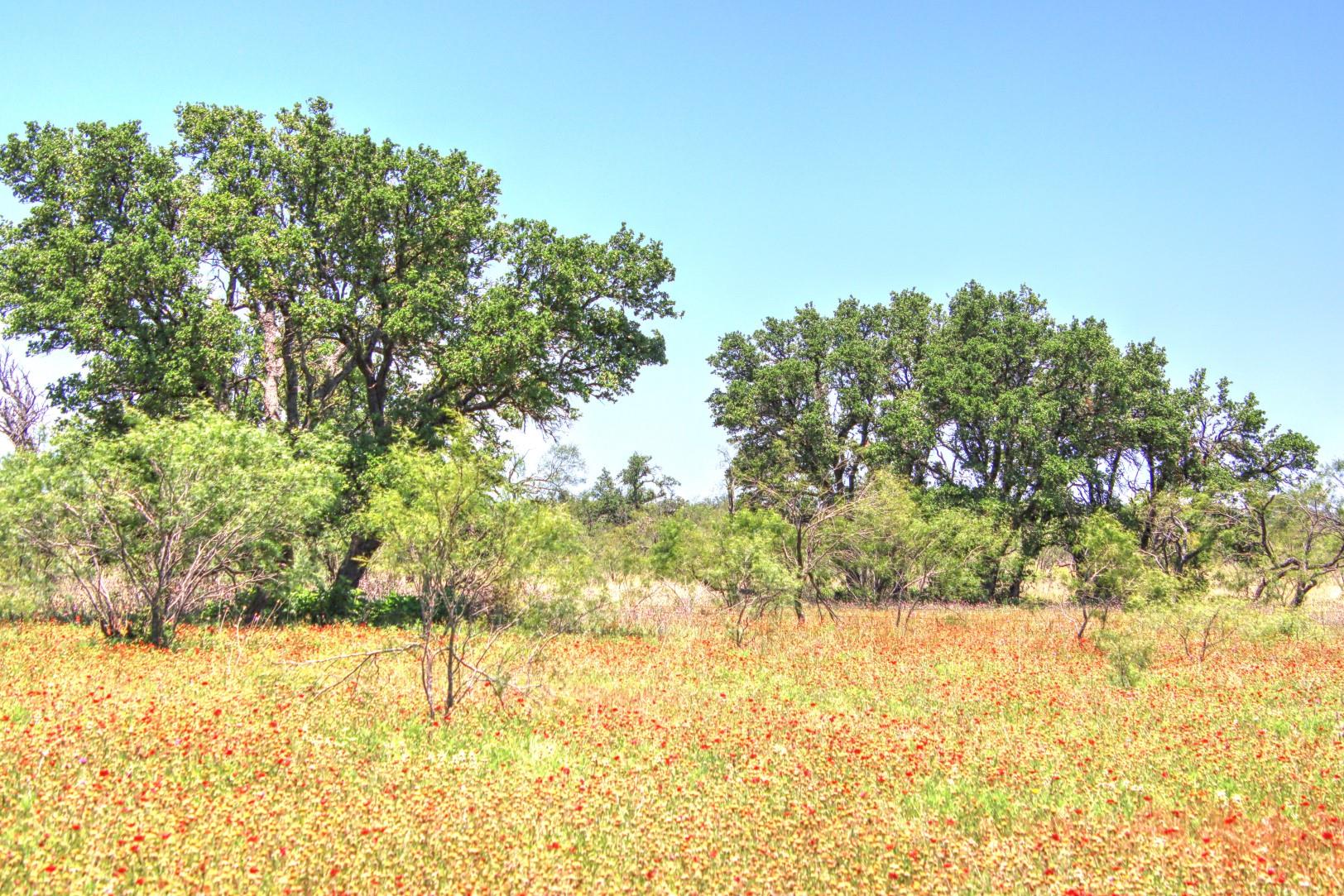 Lot 5 RM 1323, Willow City, TX 78675
