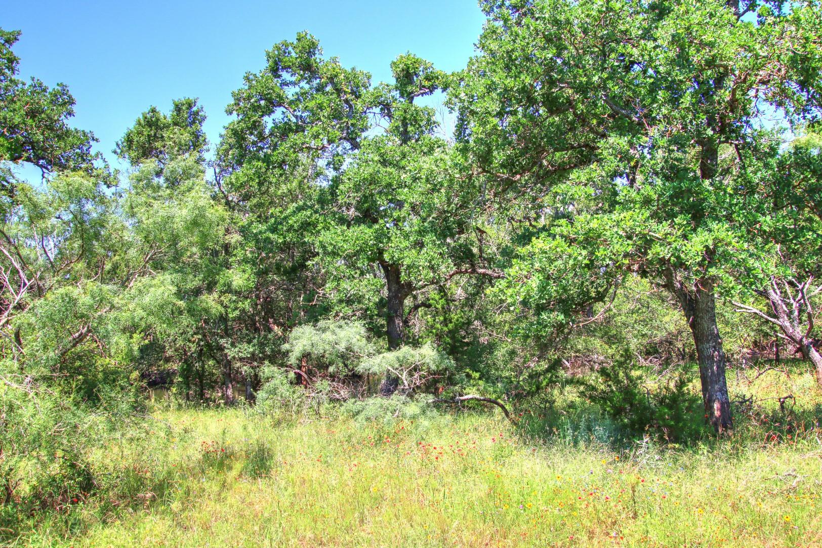 Lot 5 RM 1323, Willow City, TX 78675