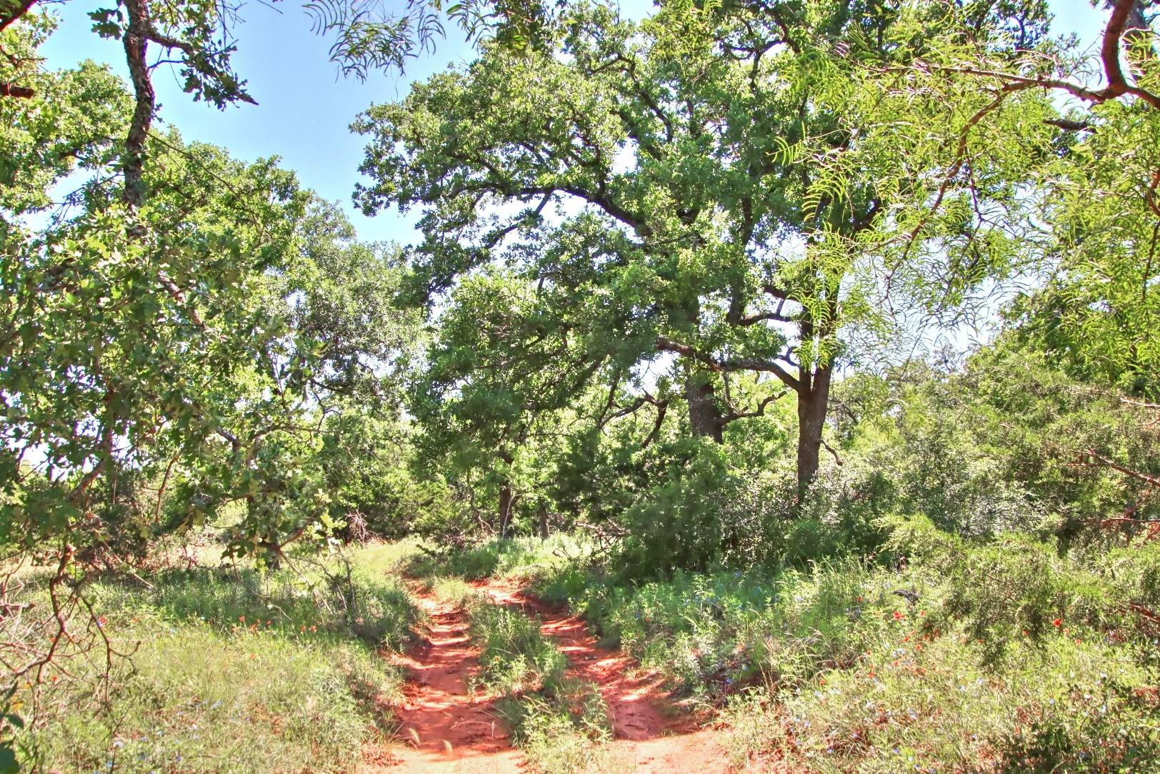 Lot 5 RM 1323, Willow City, TX 78675