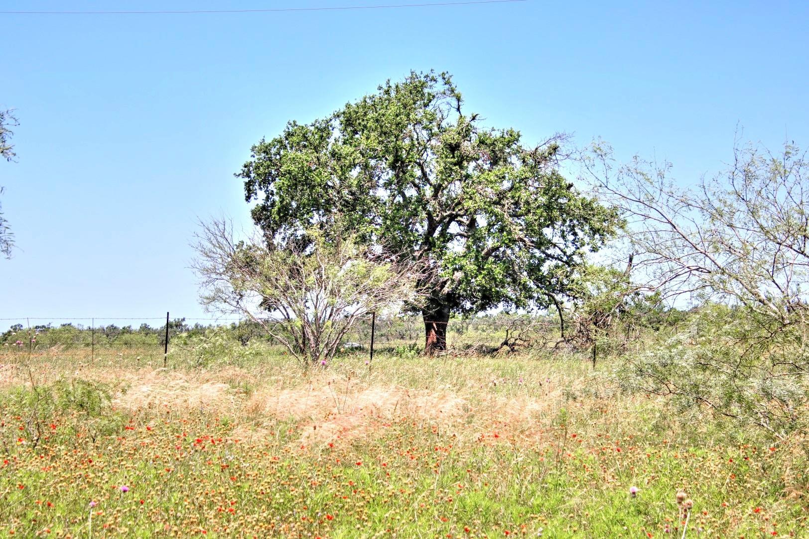 Lot 5 RM 1323, Willow City, TX 78675