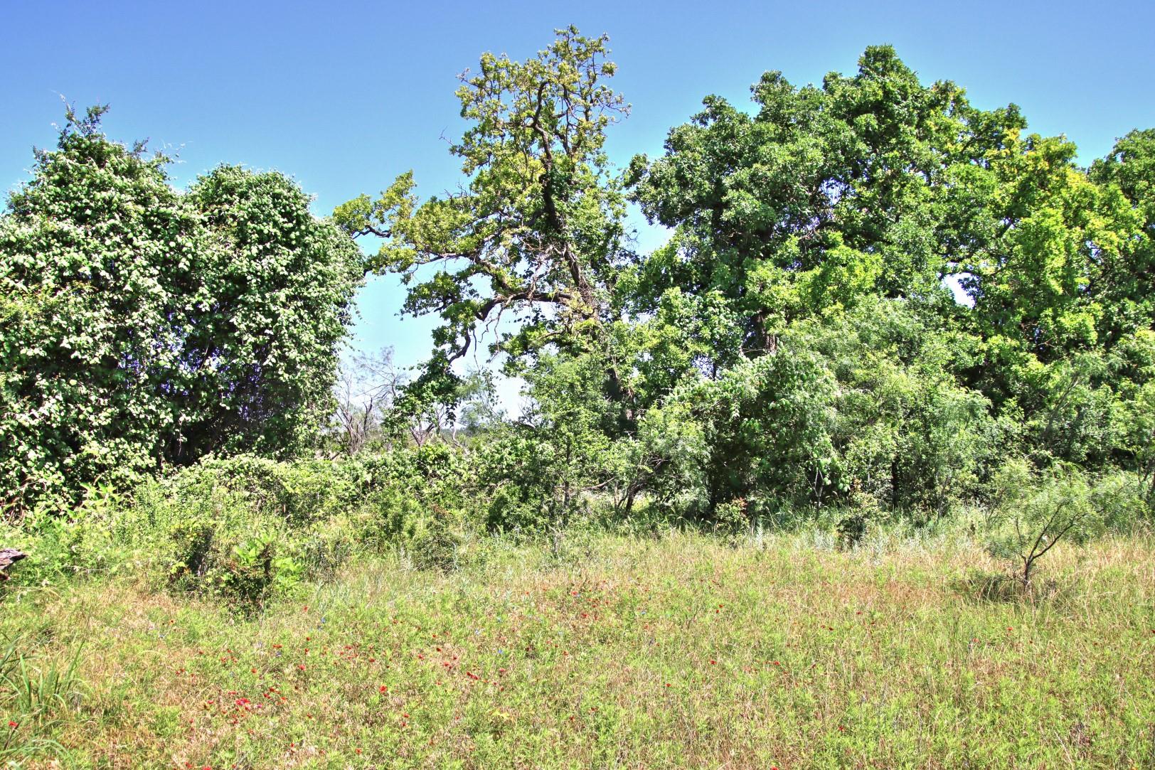 Lot 5 RM 1323, Willow City, TX 78675