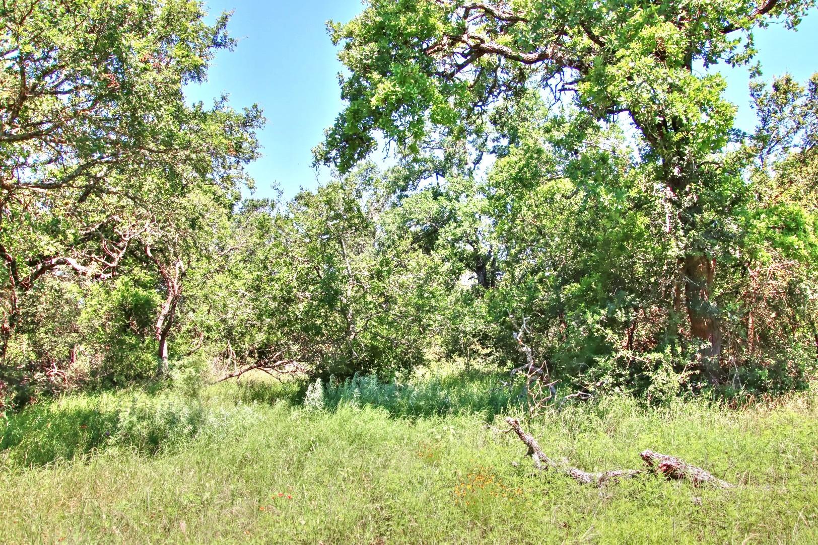 Lot 5 RM 1323, Willow City, TX 78675