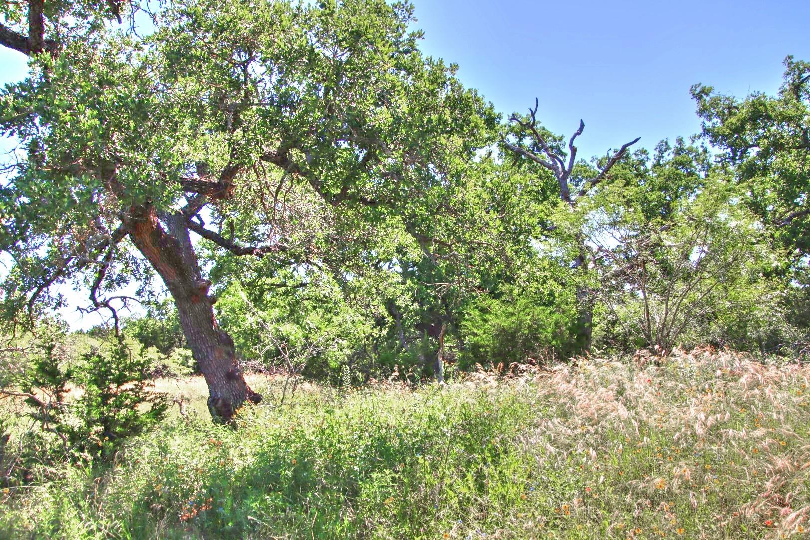 Lot 5 RM 1323, Willow City, TX 78675