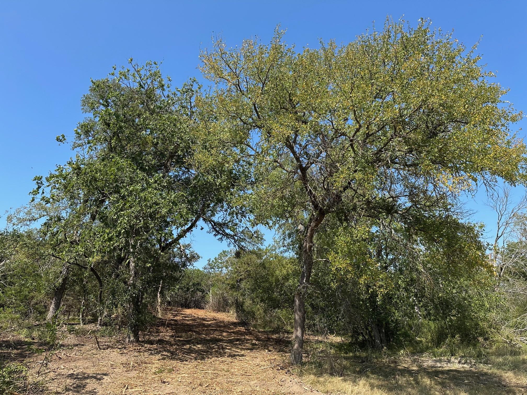 105 Winding River Rd, Kempner, TX 76539