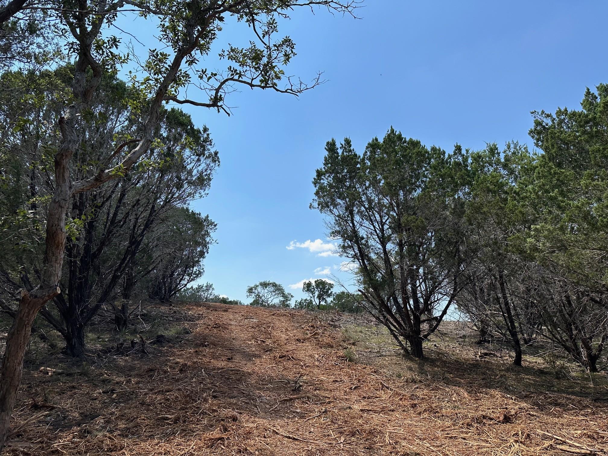 105 Winding River Rd, Kempner, TX 76539