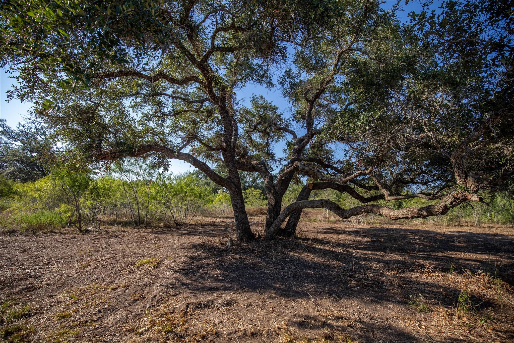 000 Stratton Rd, Yoakum, TX 77995