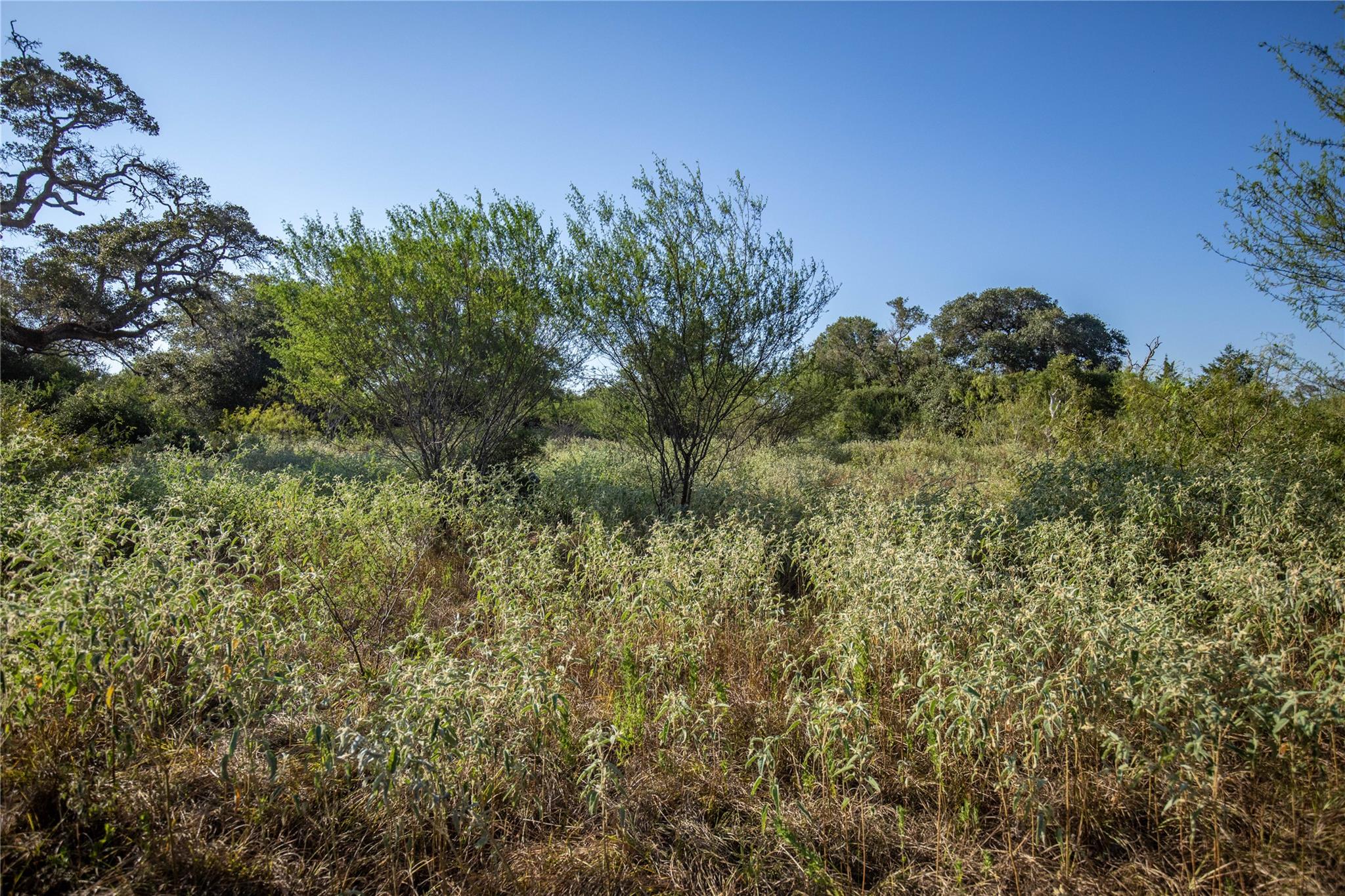 000 Stratton Rd, Yoakum, TX 77995