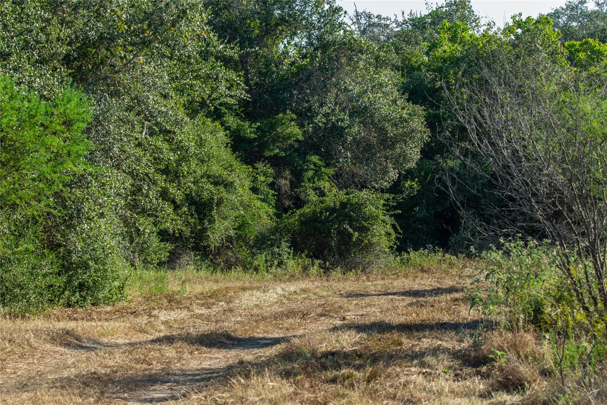 000 Stratton Rd, Yoakum, TX 77995