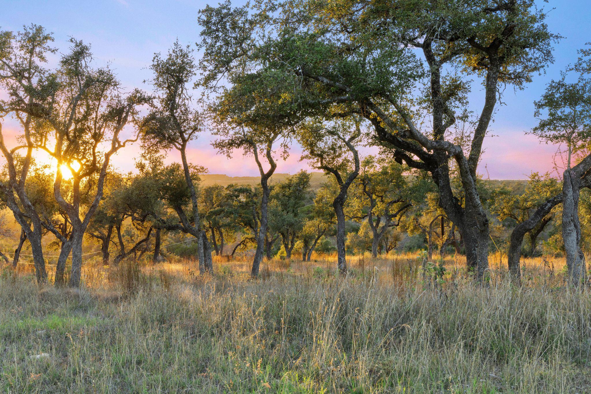 18429 Moreh Peak Pass, Austin, TX 78738