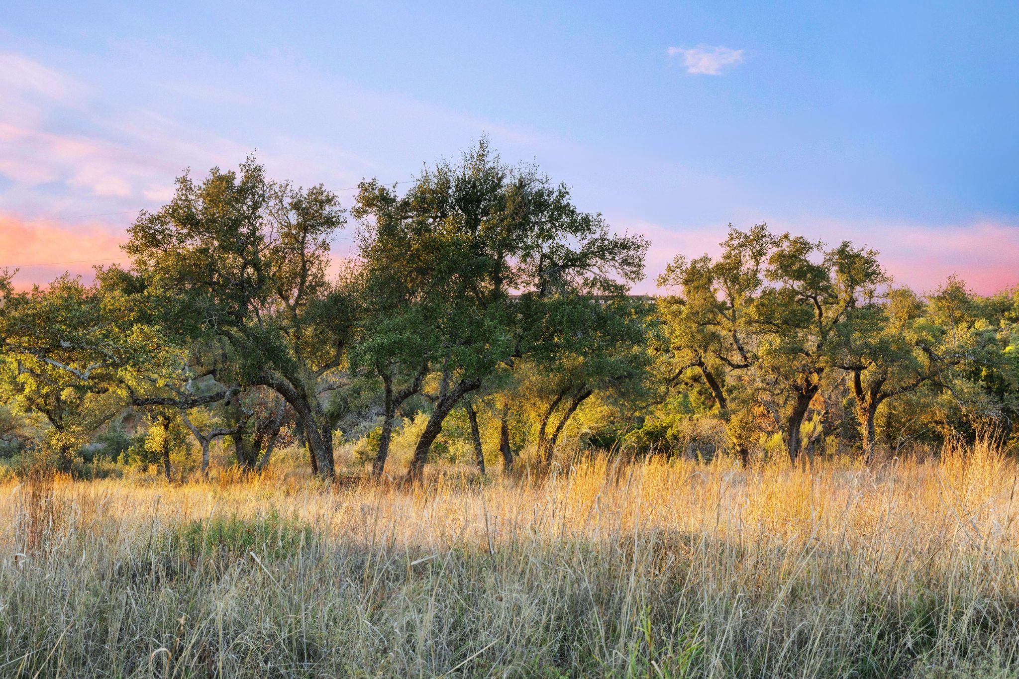 18429 Moreh Peak Pass, Austin, TX 78738