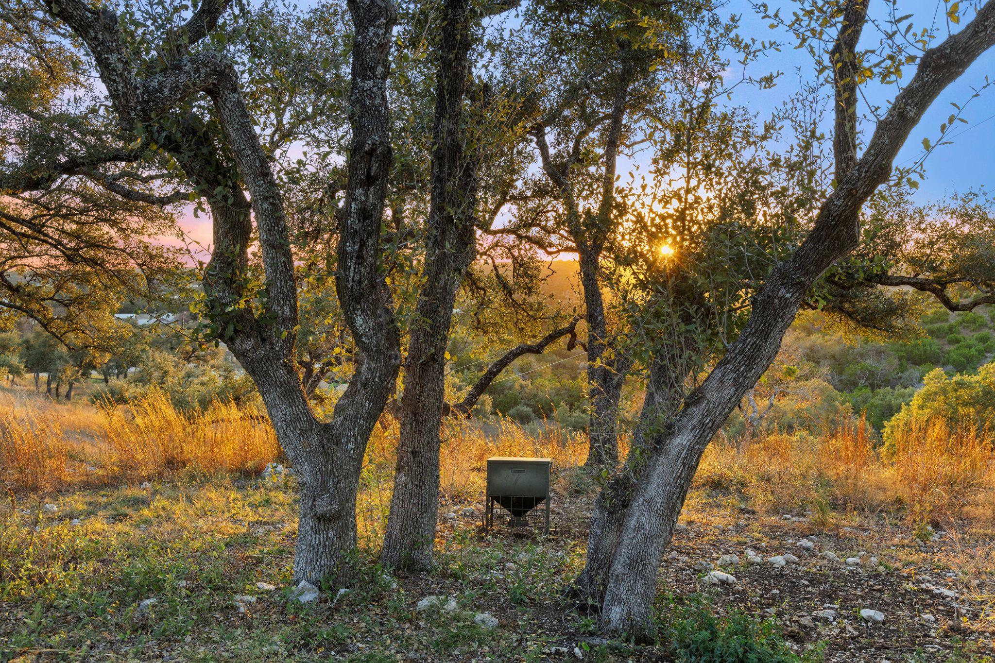 18429 Moreh Peak Pass, Austin, TX 78738