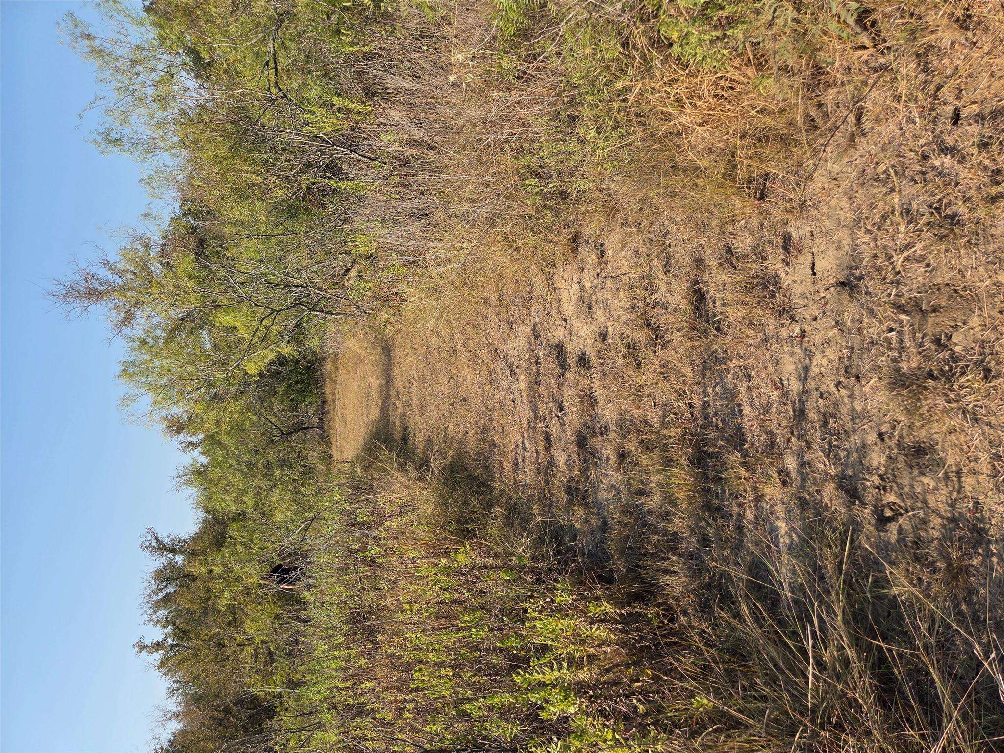 150 Beaver Rd, Elgin, TX 78621