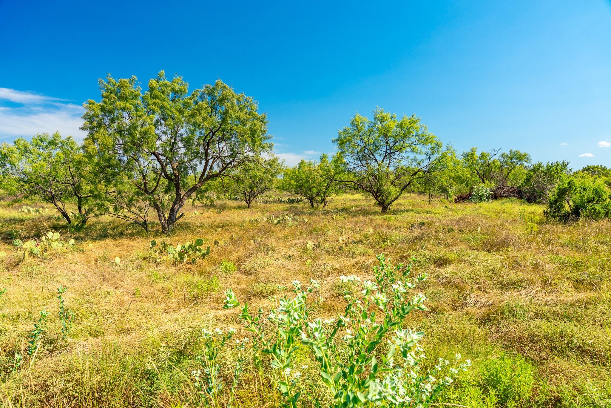 0 Private Rd 749, Brady, TX 76852