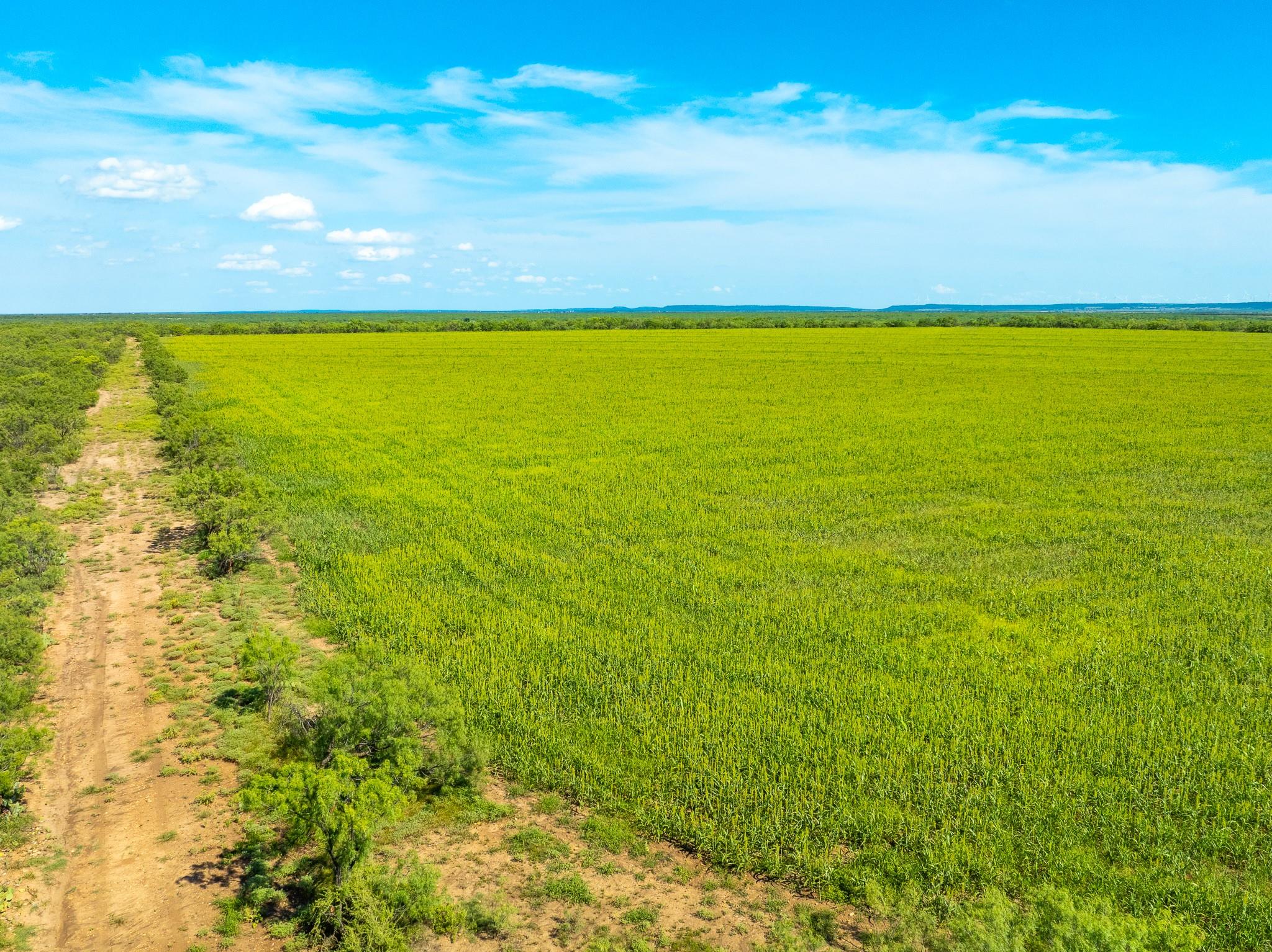 0 Private Rd 749, Brady, TX 76852