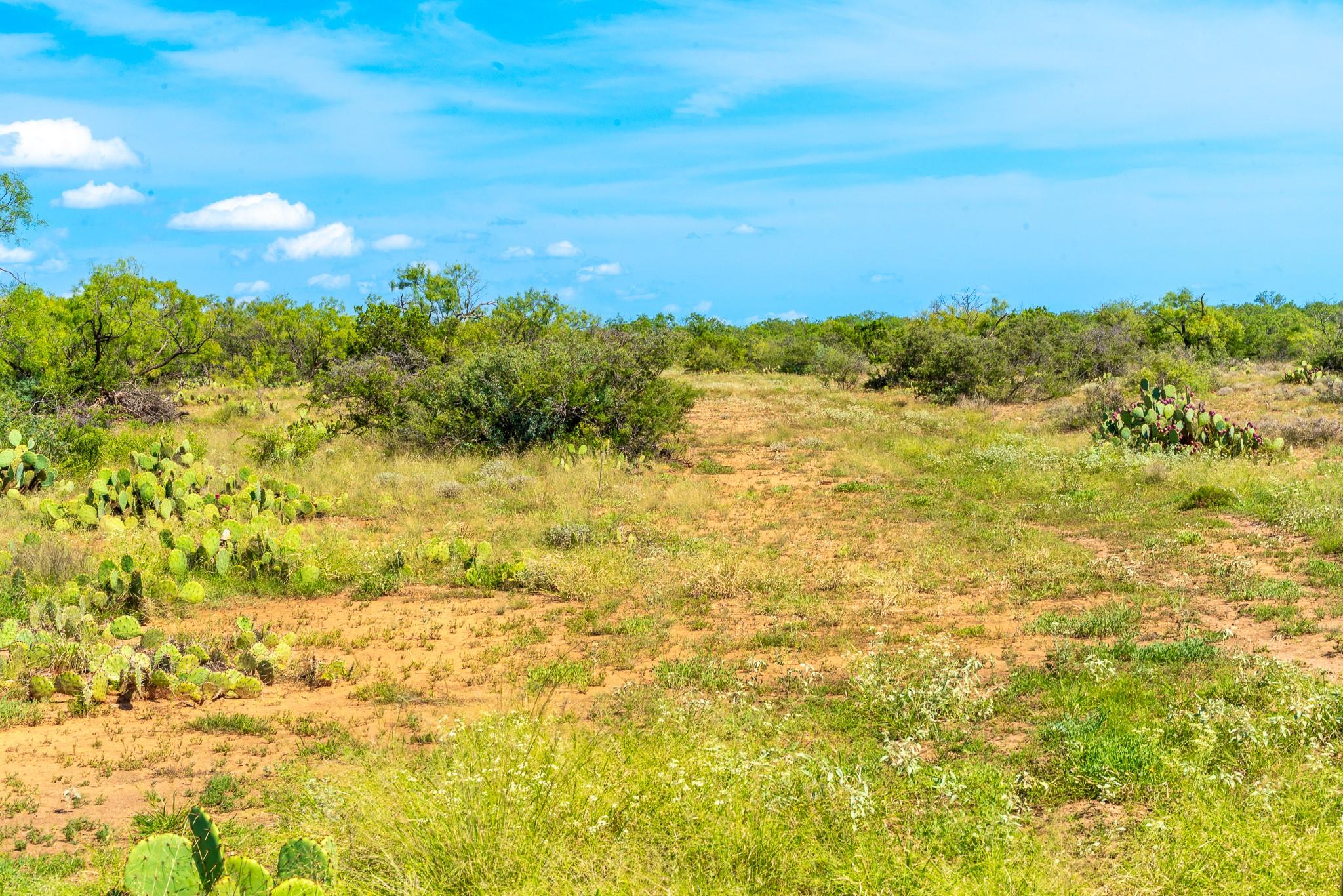 0 Private Rd 749, Brady, TX 76852