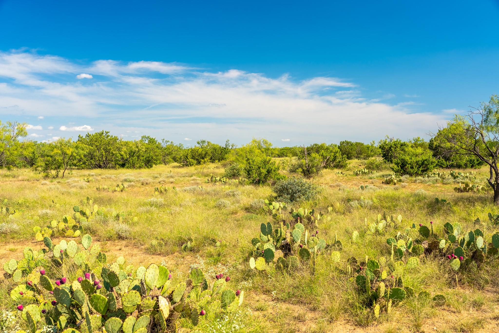 0 Private Rd 749, Brady, TX 76852