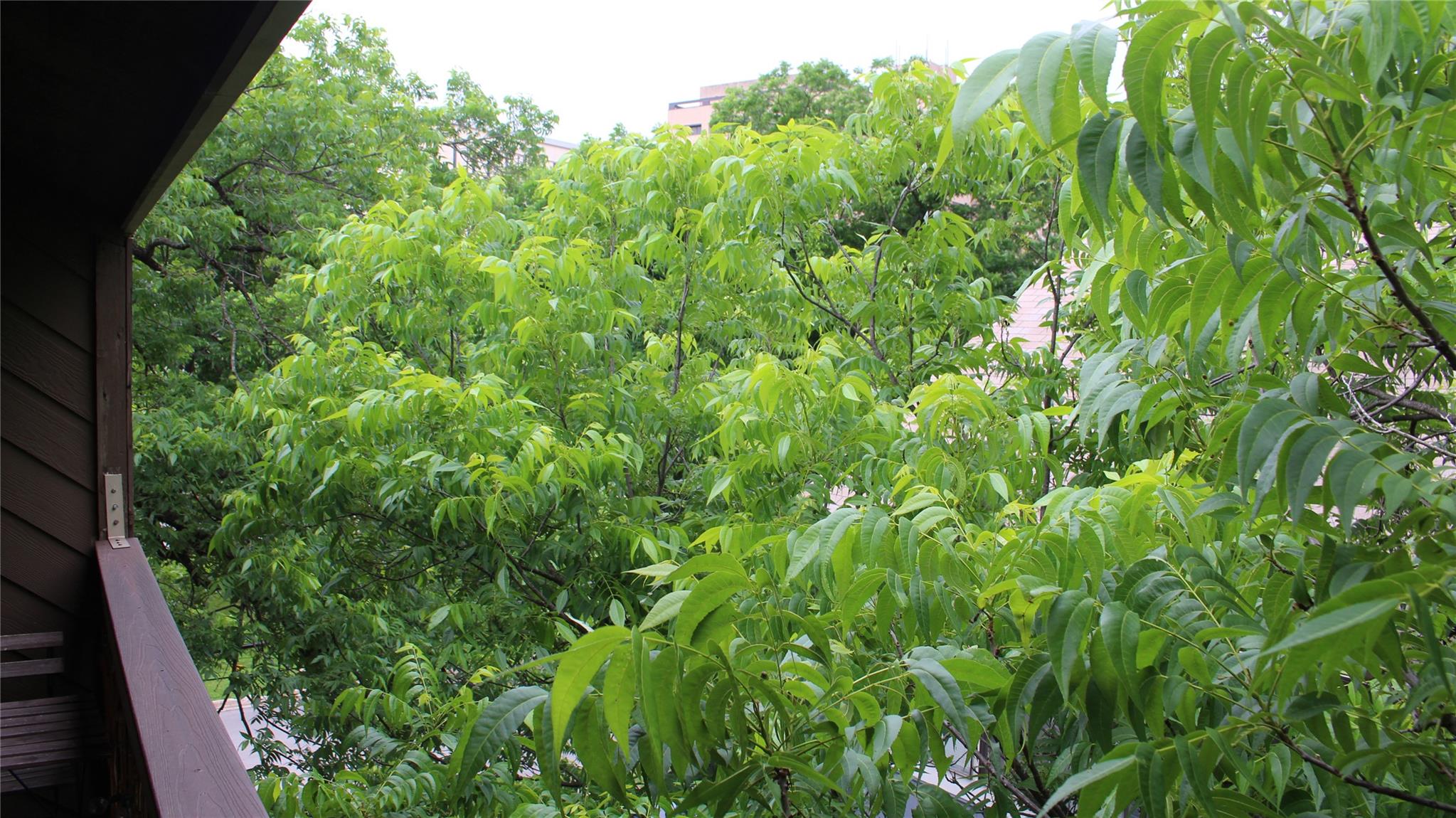 612 Park Pl # 302, Austin, TX 78705