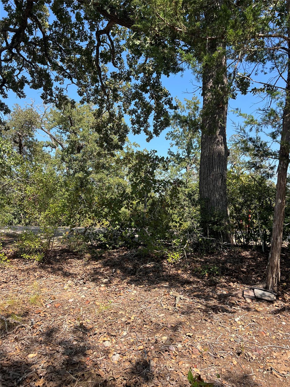 TBD Lakeshore Rd, Bastrop, TX 78602