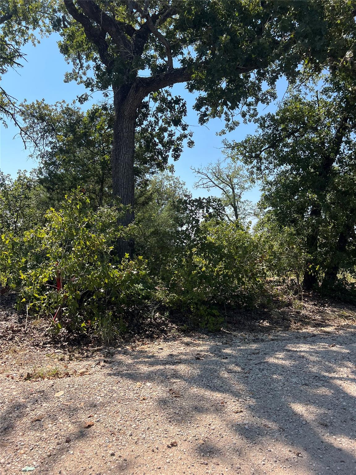 TBD Lakeshore Rd, Bastrop, TX 78602