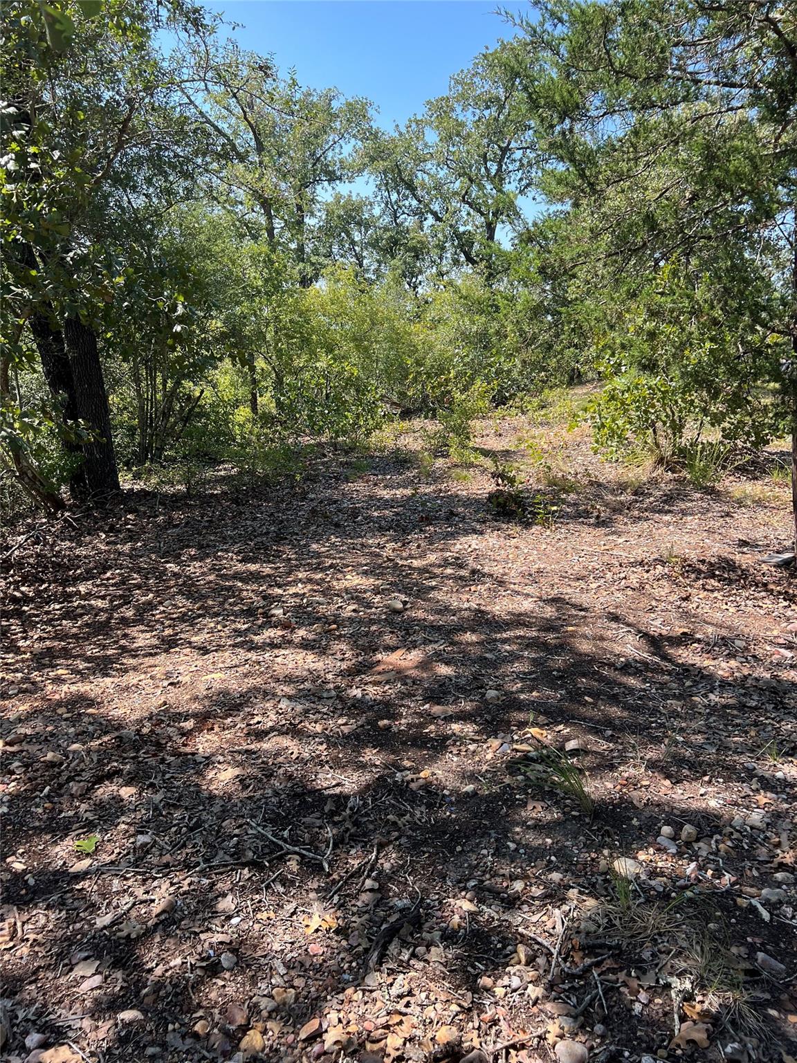 TBD Lakeshore Rd, Bastrop, TX 78602