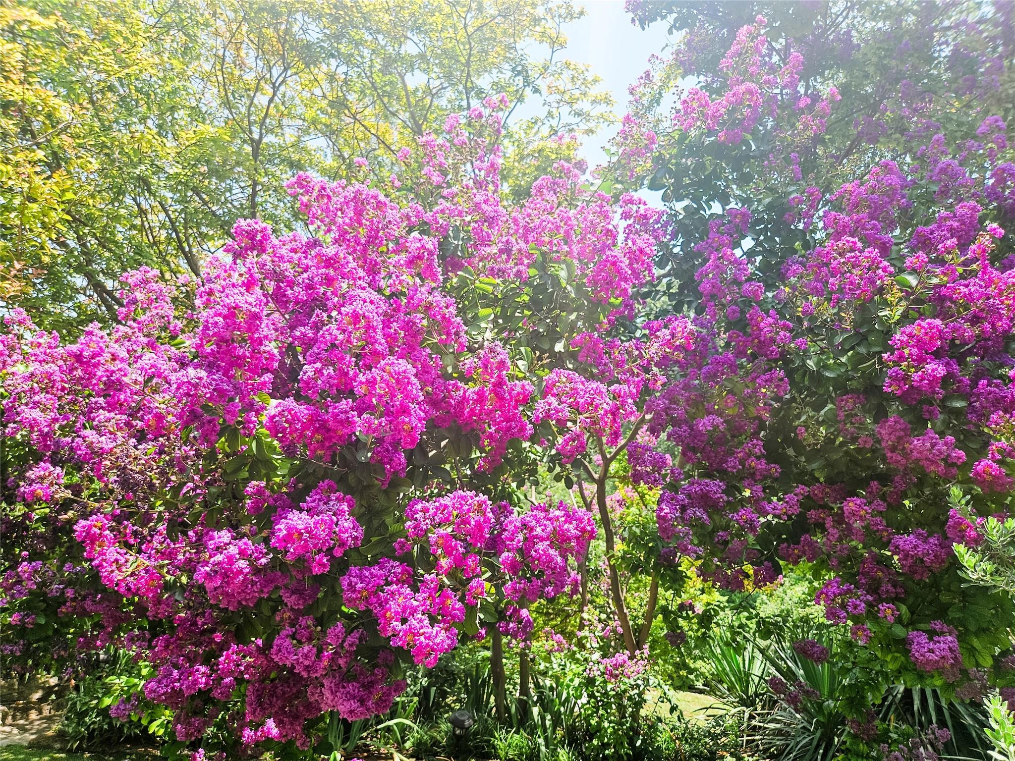 3618 Quiette Dr, Austin, TX 78754