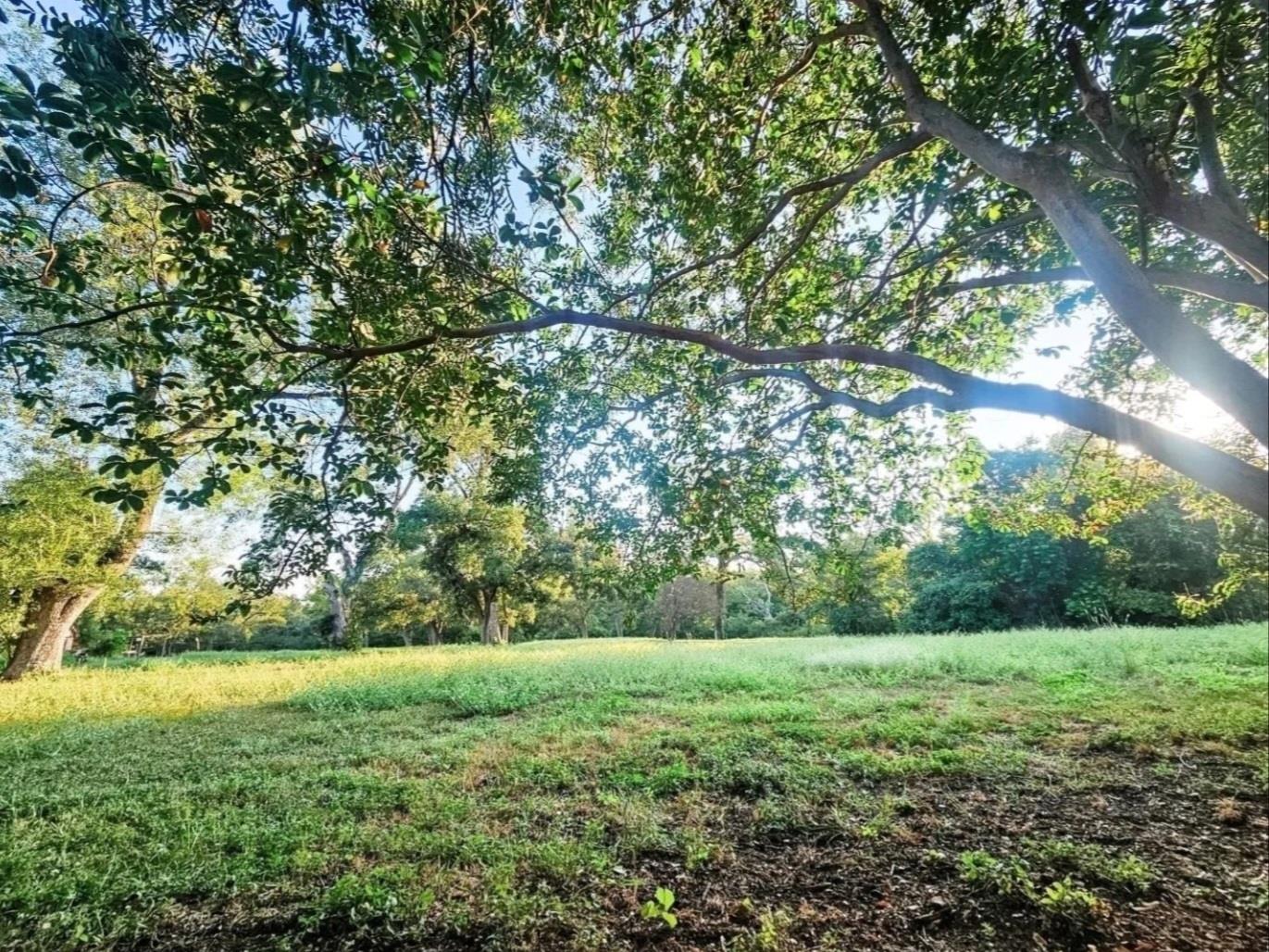 3618 Quiette Dr, Austin, TX 78754