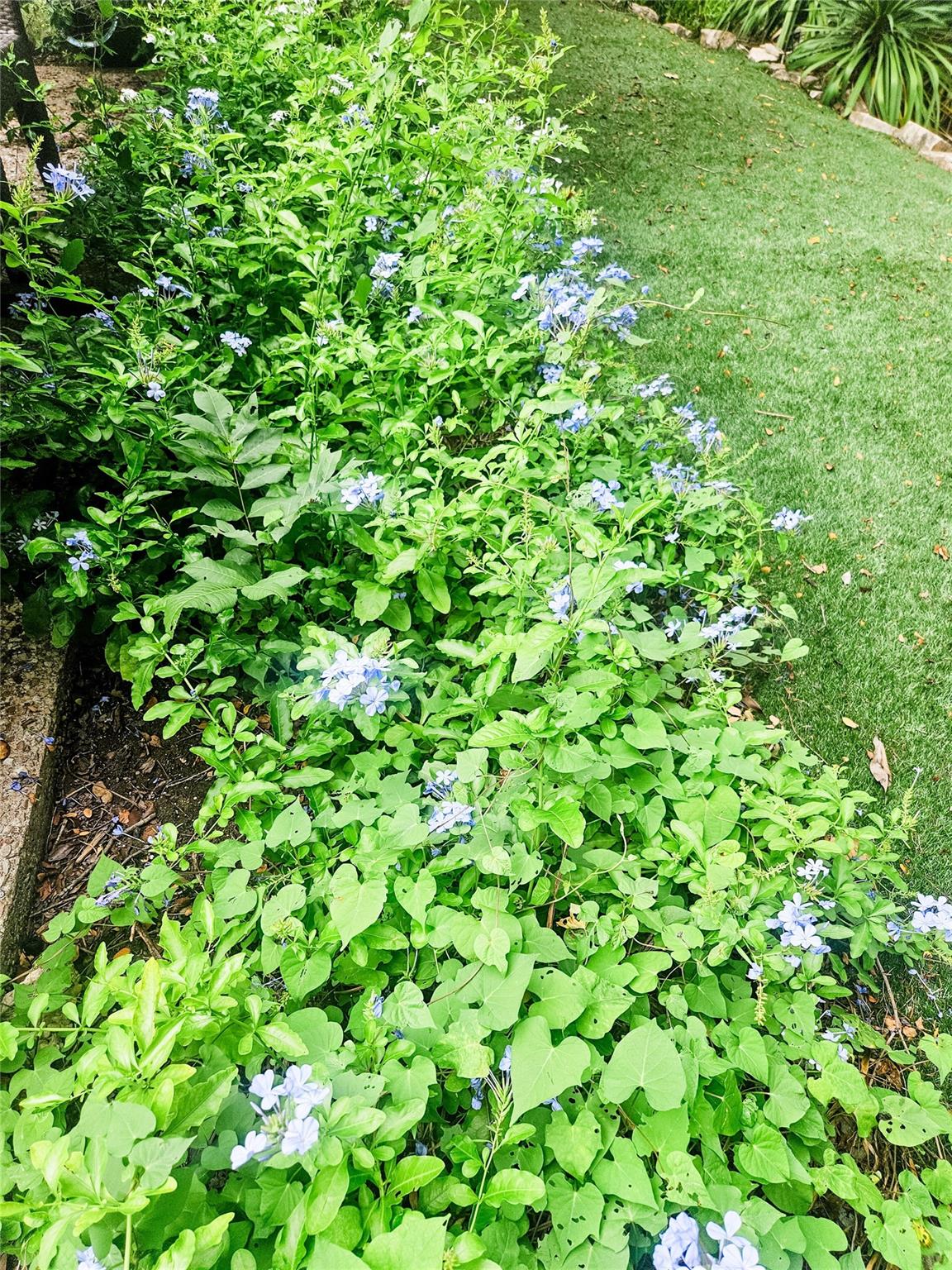 3618 Quiette Dr, Austin, TX 78754