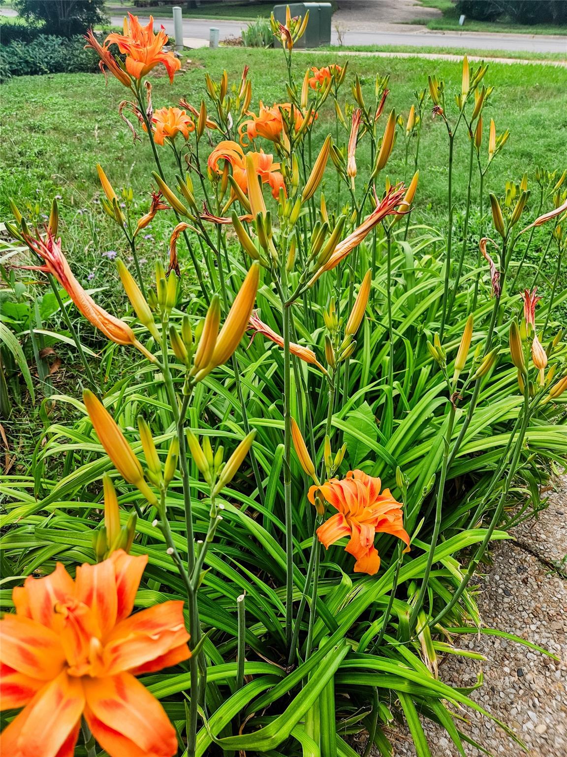 3618 Quiette Dr, Austin, TX 78754